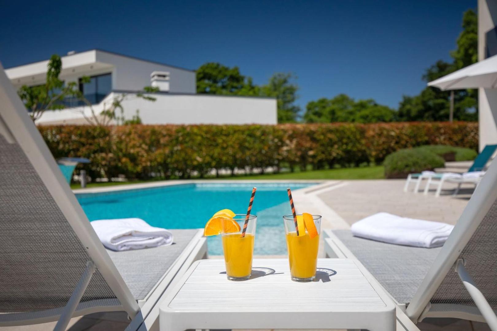 Luxury villa Nada with pool in Tinjan view 2