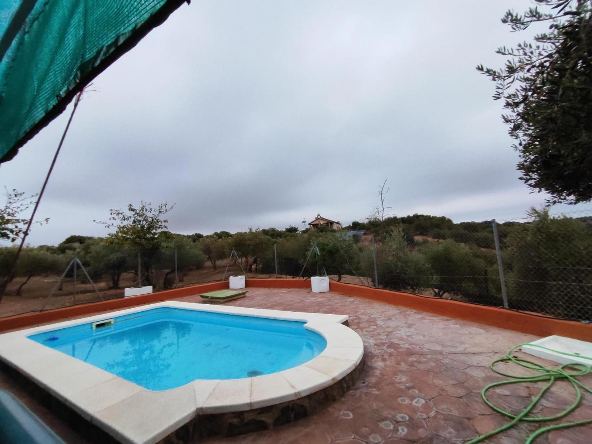 Casa Rural Mesa del Lobo Perita view 4