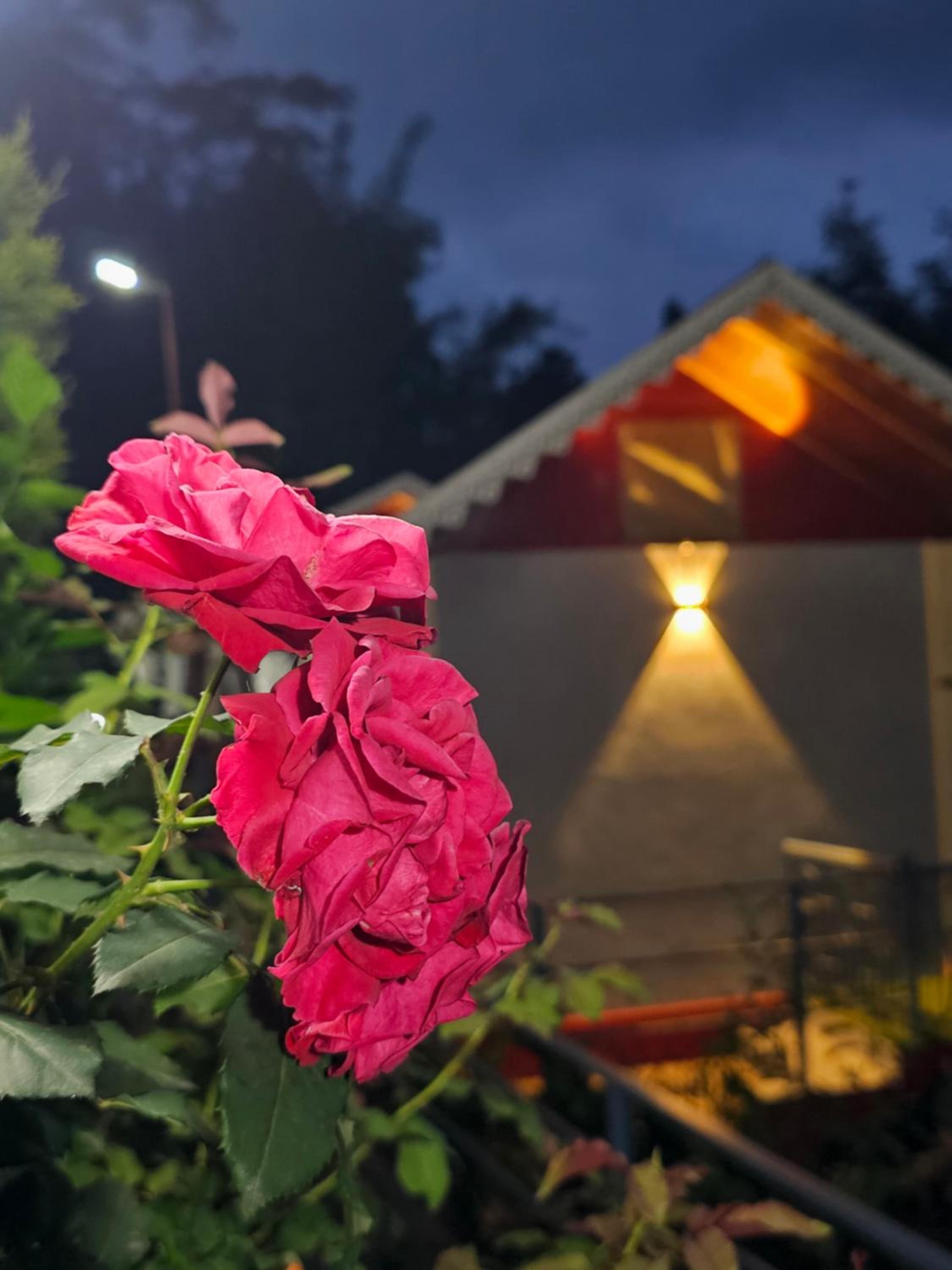 Godhuli Eco Stay