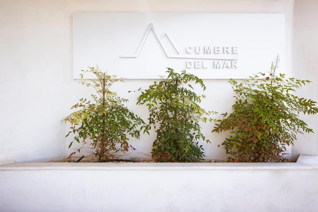 Modern beach apartment Muchavista