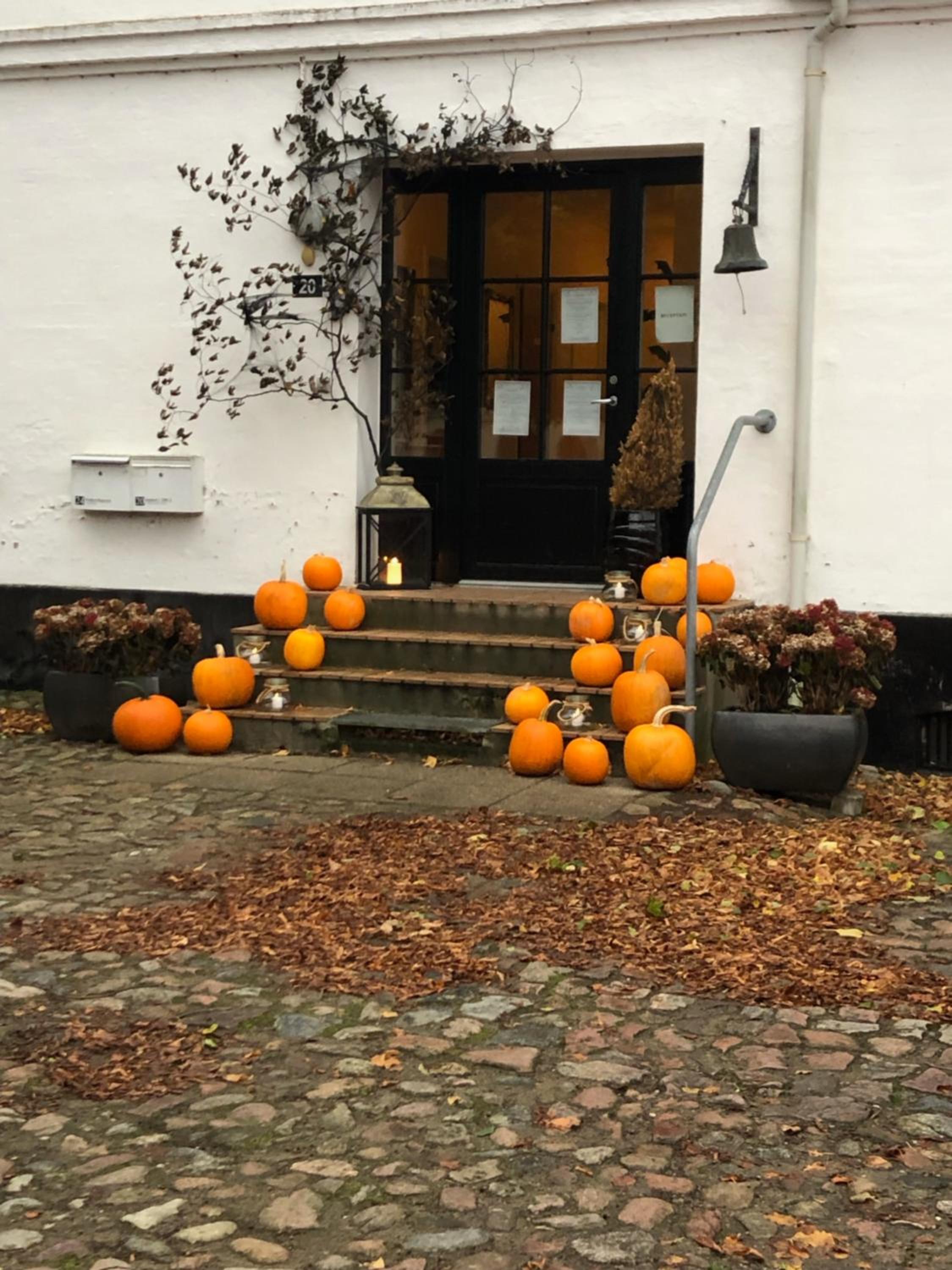 Rønhave