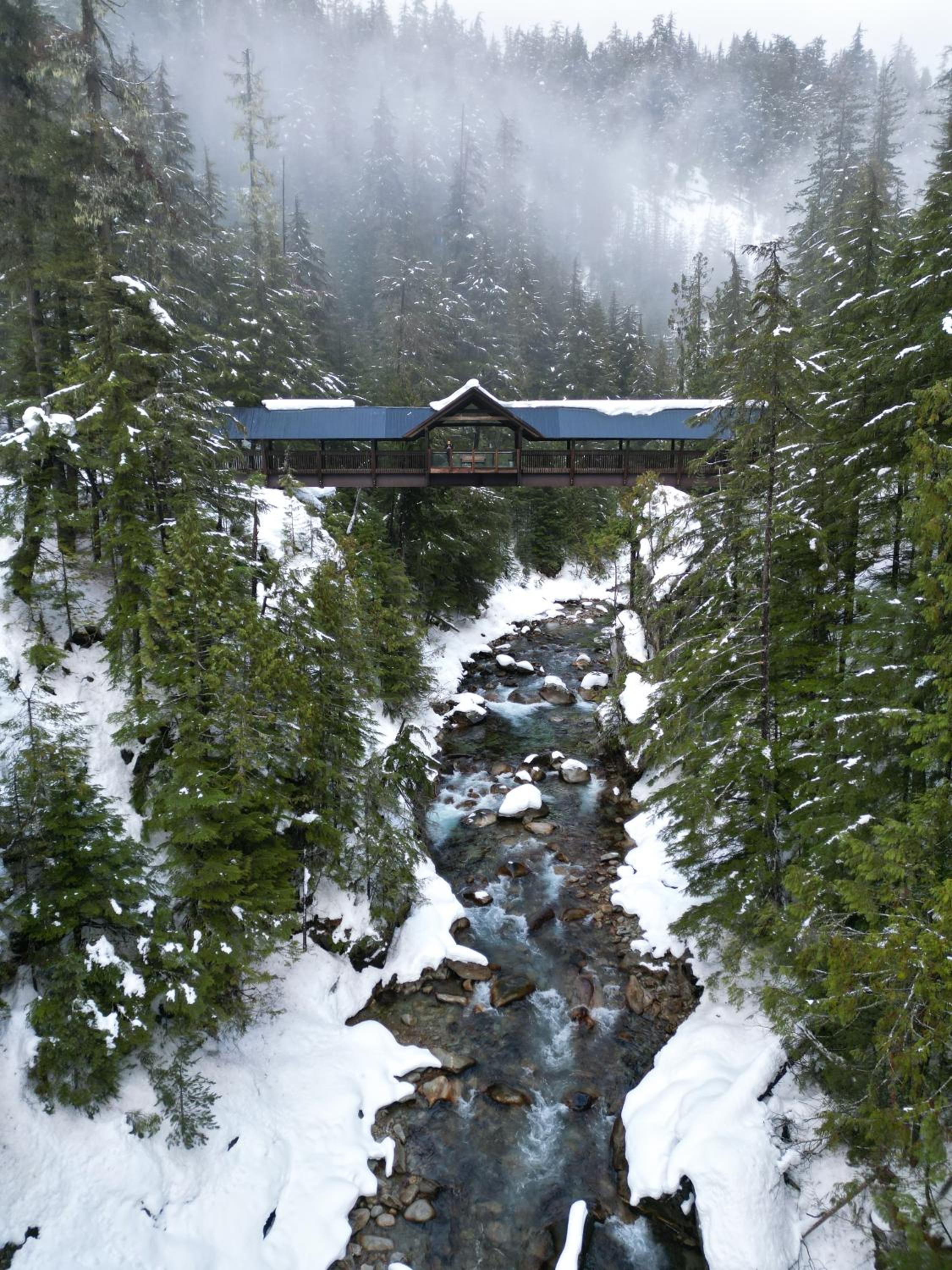 Kootenay Lakeview Retreats - Forest Cabin