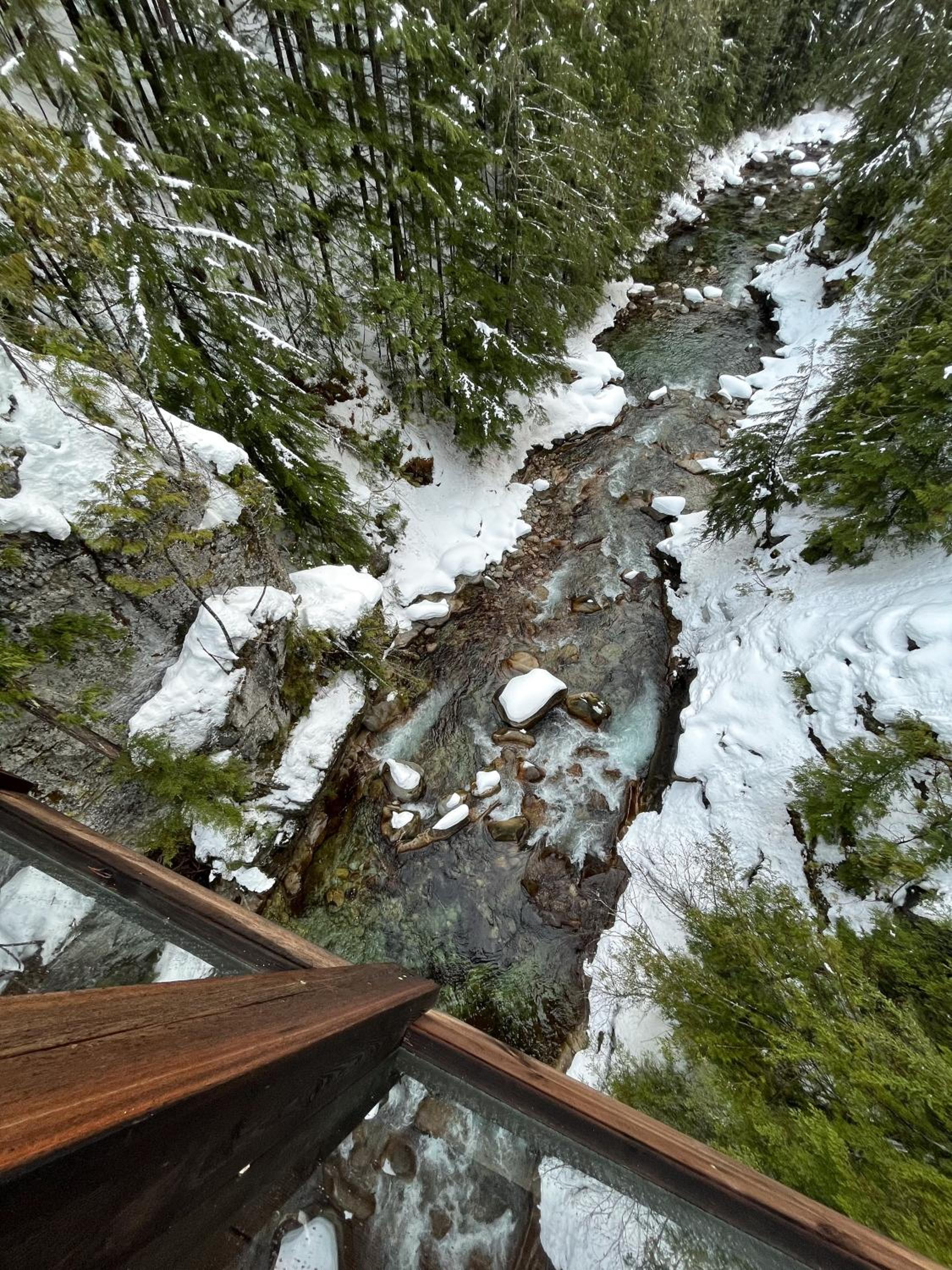 Kootenay Lakeview Retreats - Forest Cabin