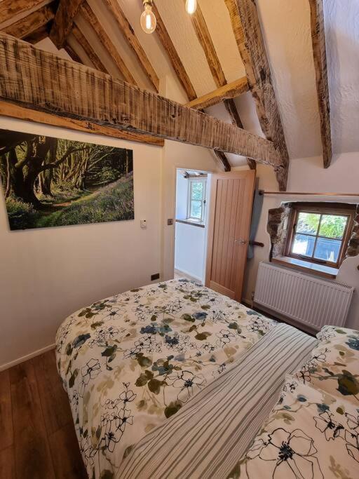 Little Thatch