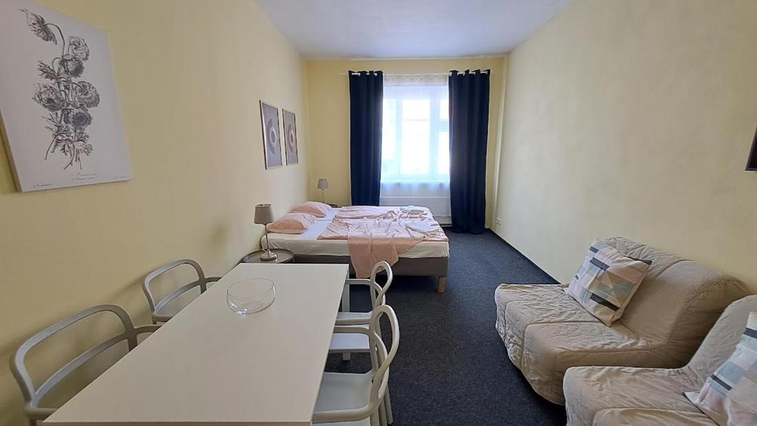 Flat in Zizkov -402-