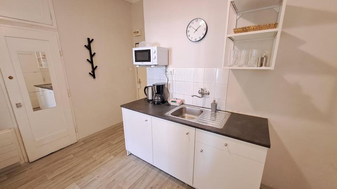 Flat in Zizkov -402-