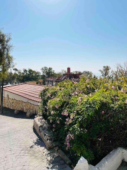 NEW Duplex studio with sea views