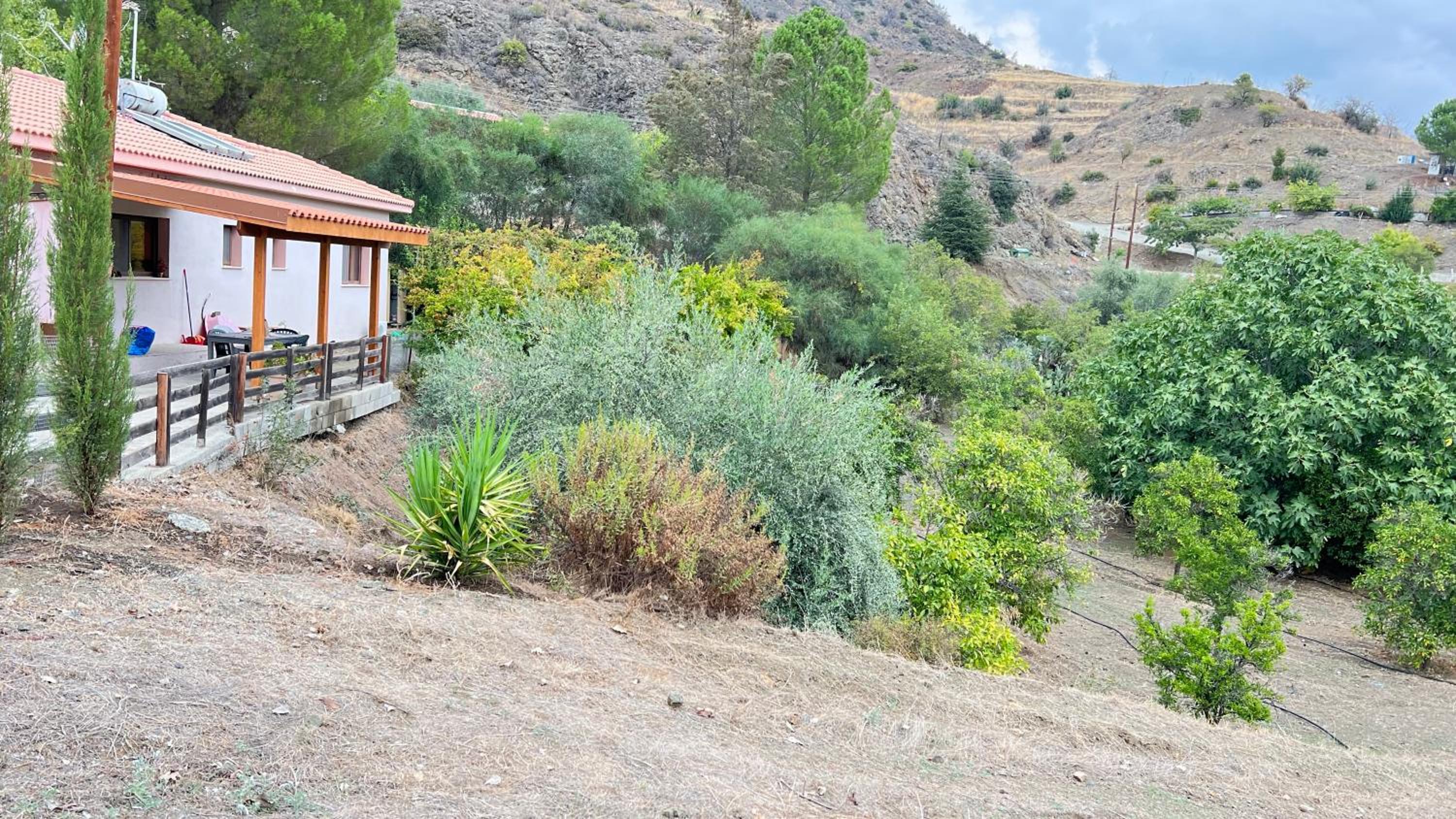 Evie's House Arakapas
