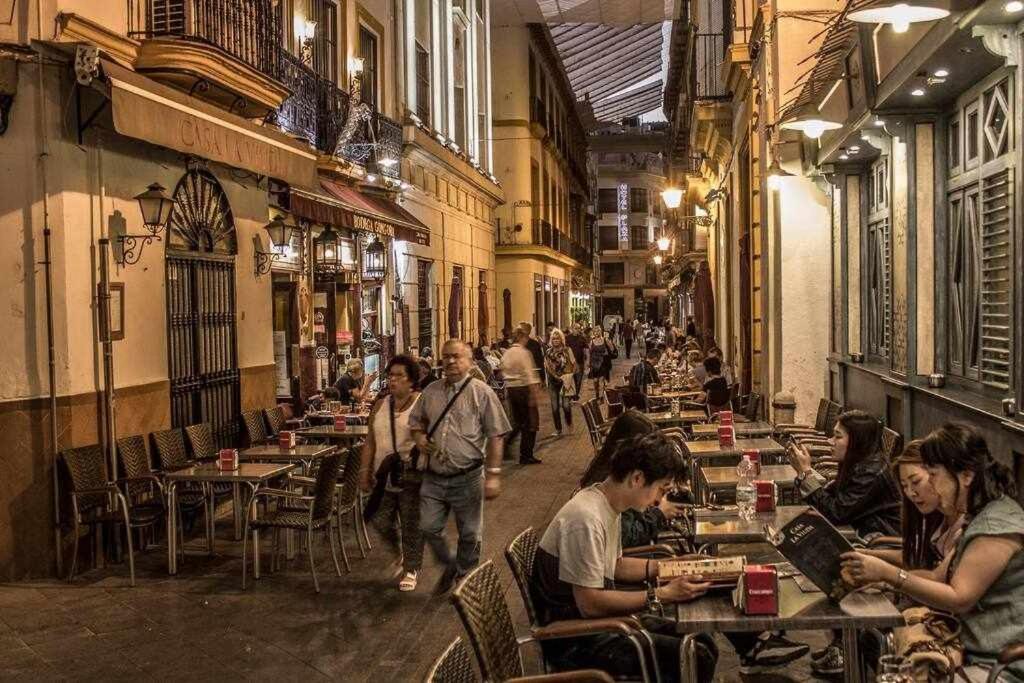 Casa con piscina junto catedral de sevilla