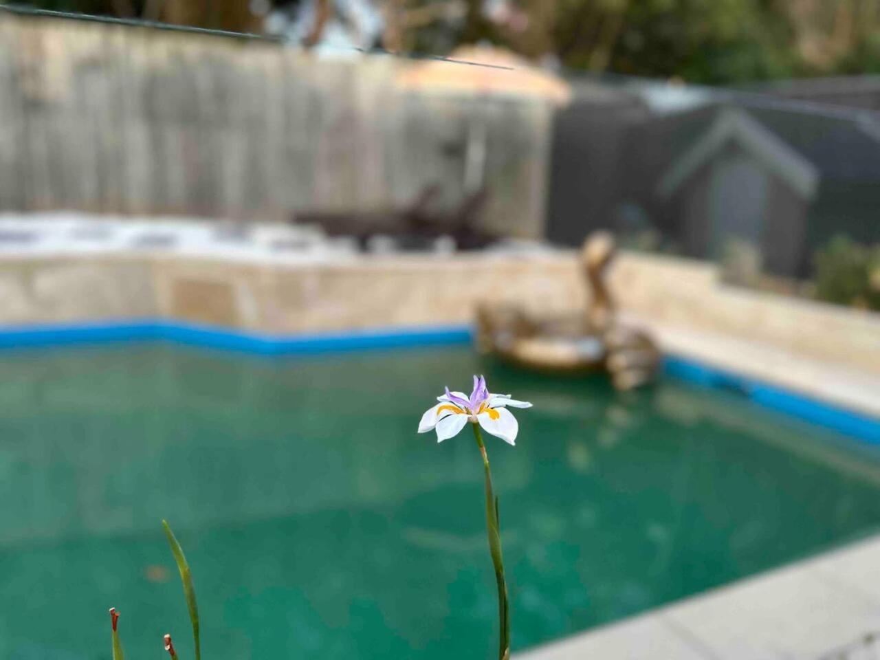 Pool - Arcade Games - Heated toilet seat - Air Conditioning- Hot Tub Spa - Electrical BBQ Grill at Golden Swan Holiday House