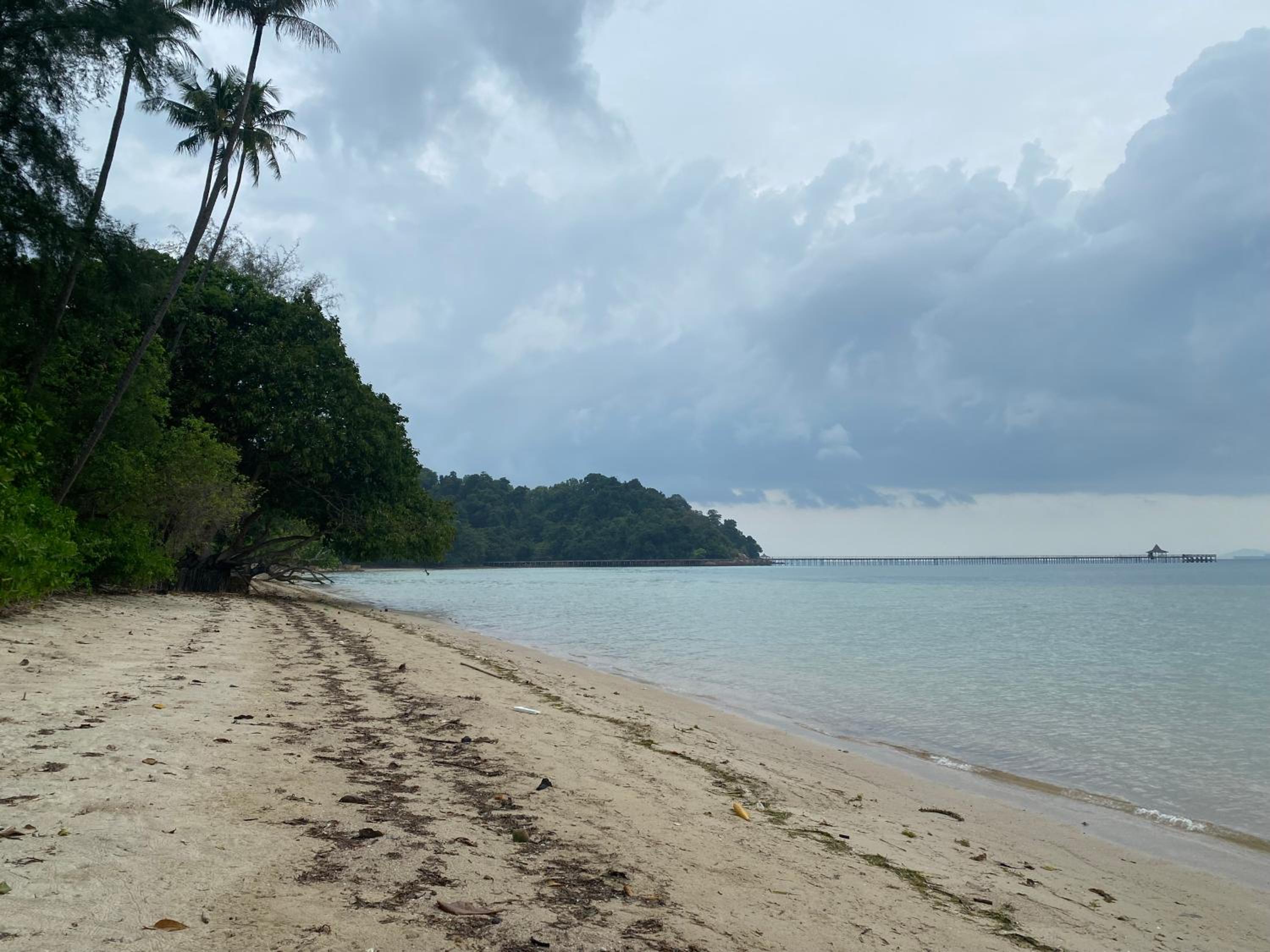 Bamboo Forest Beach Villa, Nongsa view 3