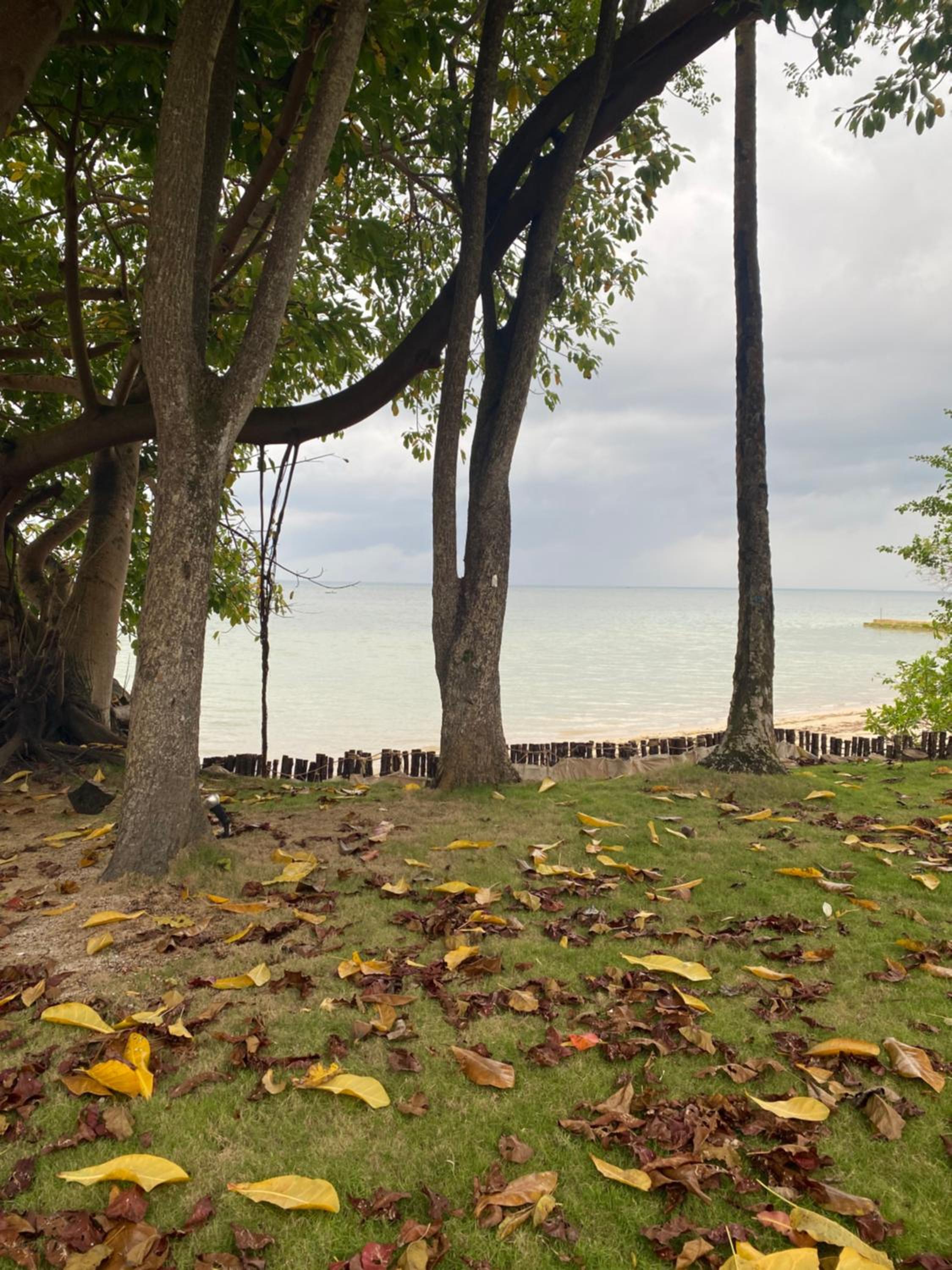 Bamboo Forest Beach Villa, Nongsa view 2