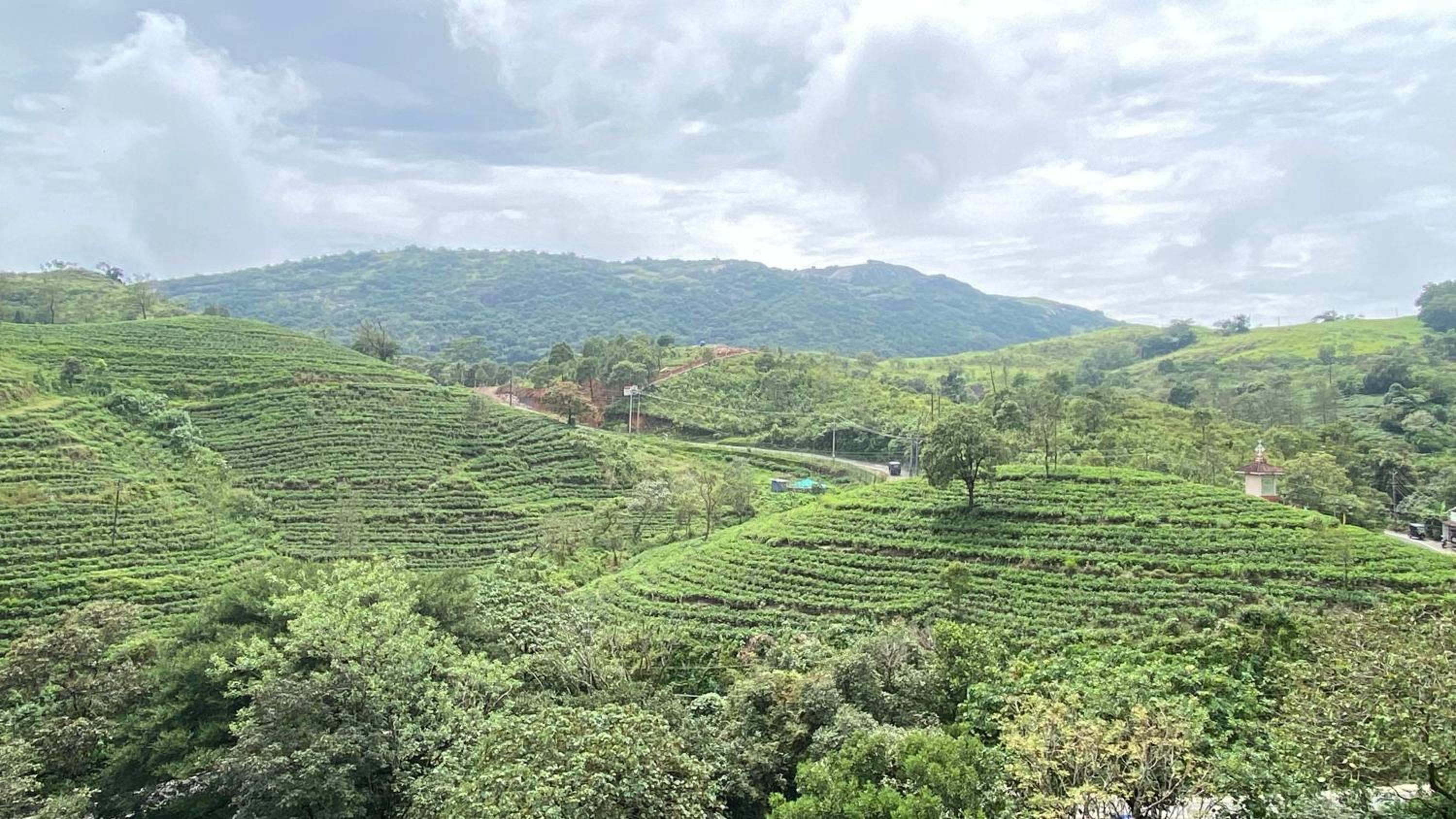 Hill Monk - Bethany Heights view 5