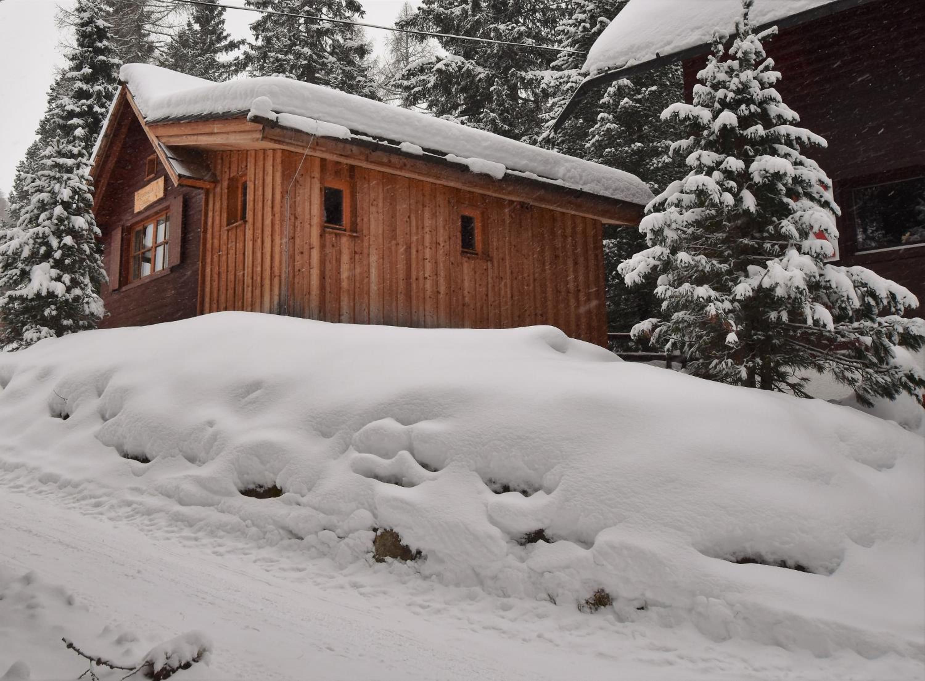 Zirbenwald Chalet