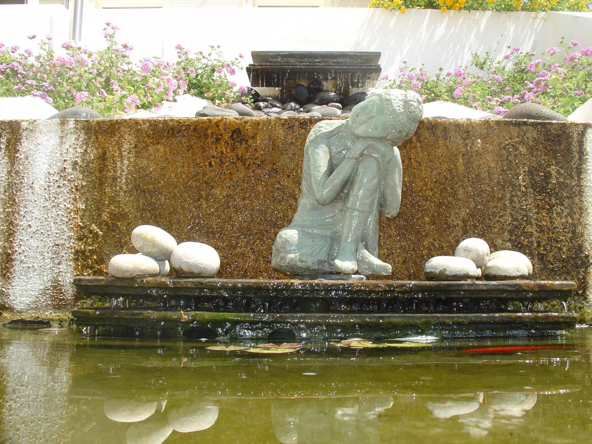 Photo 46