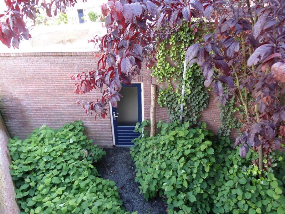 Photo 16