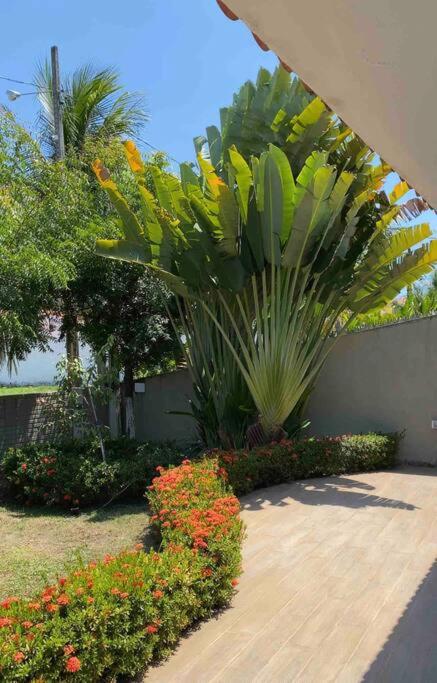 Carneiros Luxury Beachfront Condominium 20 ppl