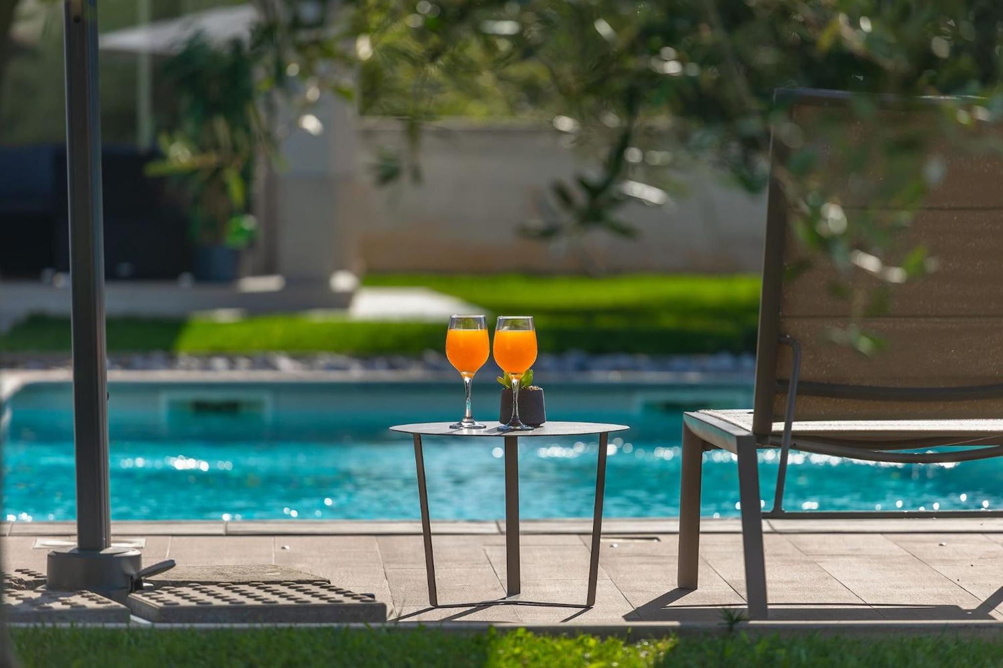 Modern villa Grgo with pool and jacuzzi in Tinjan view 3