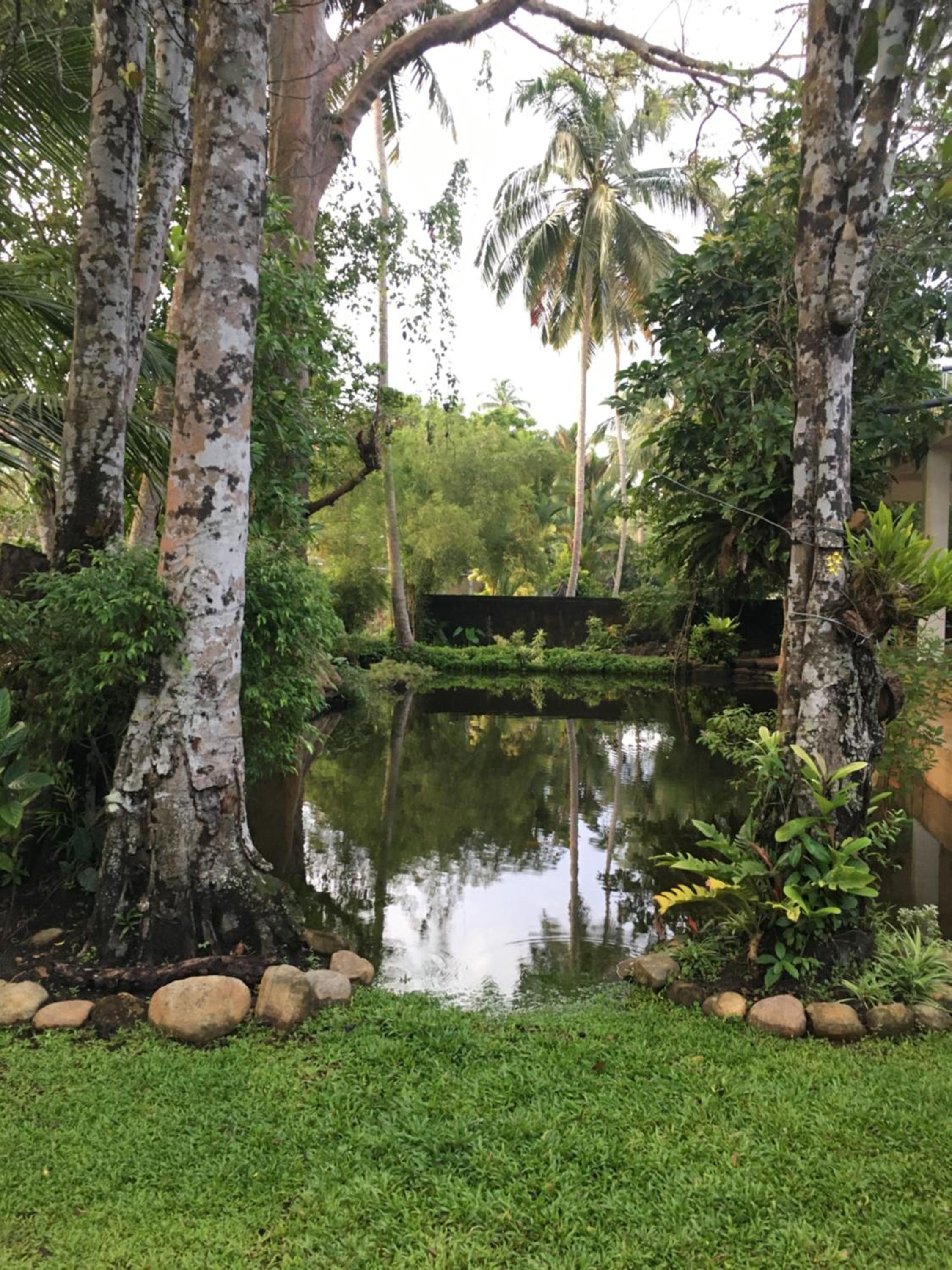 New Stay Inn view 5