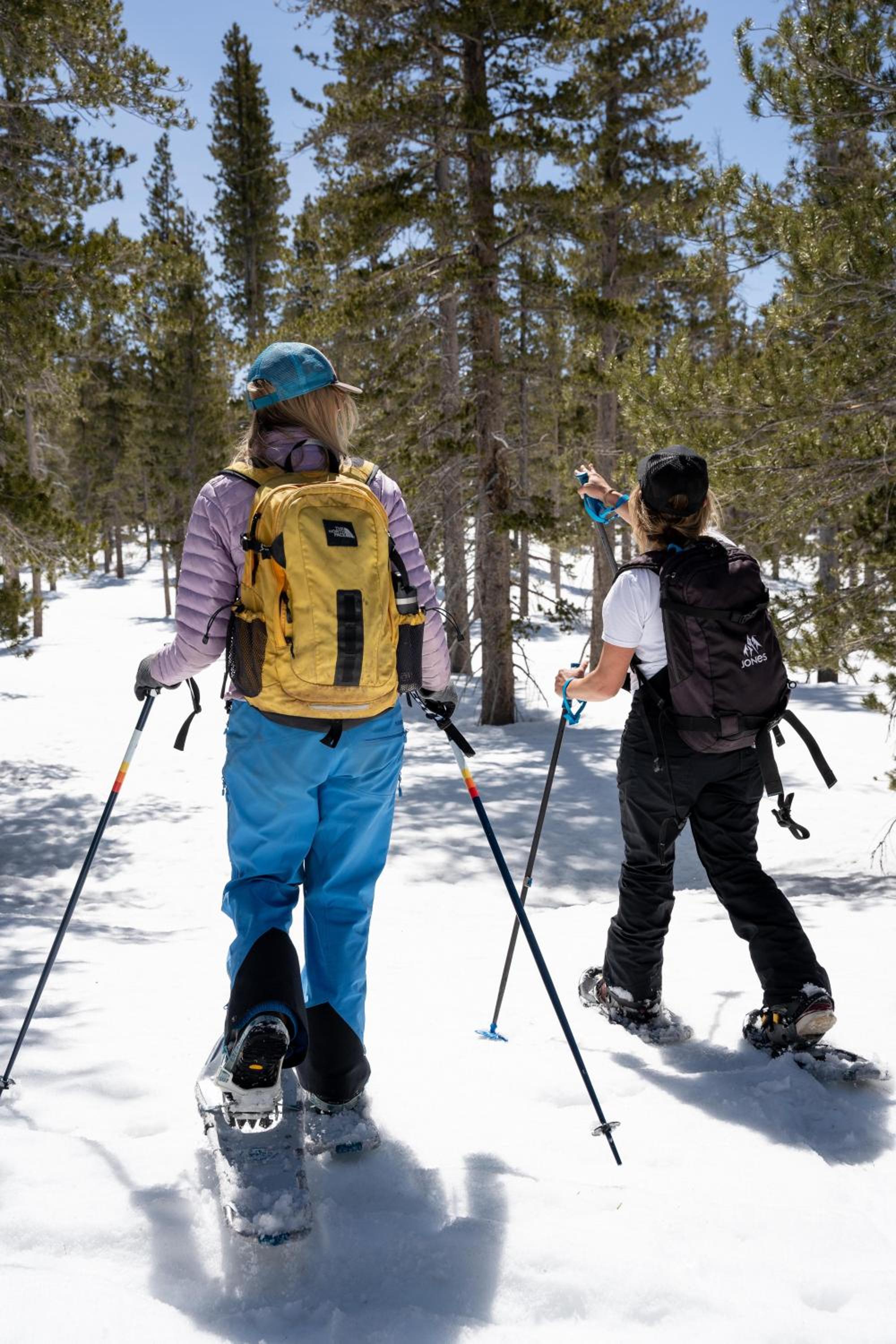 Lake Tahoe Vacations - The Incline Lodge - Property Image 55