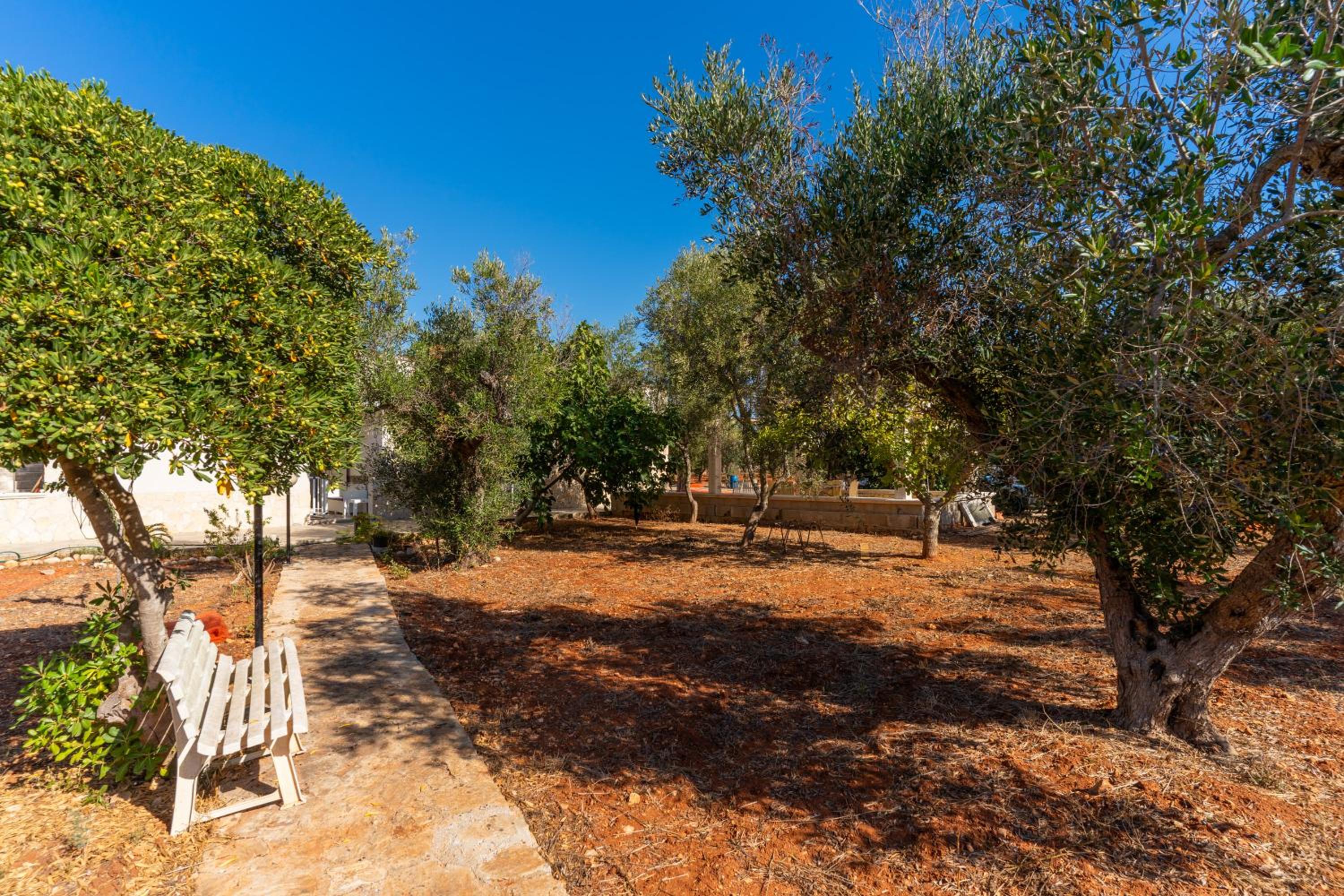 Appartamento Azzurro 2 view 5
