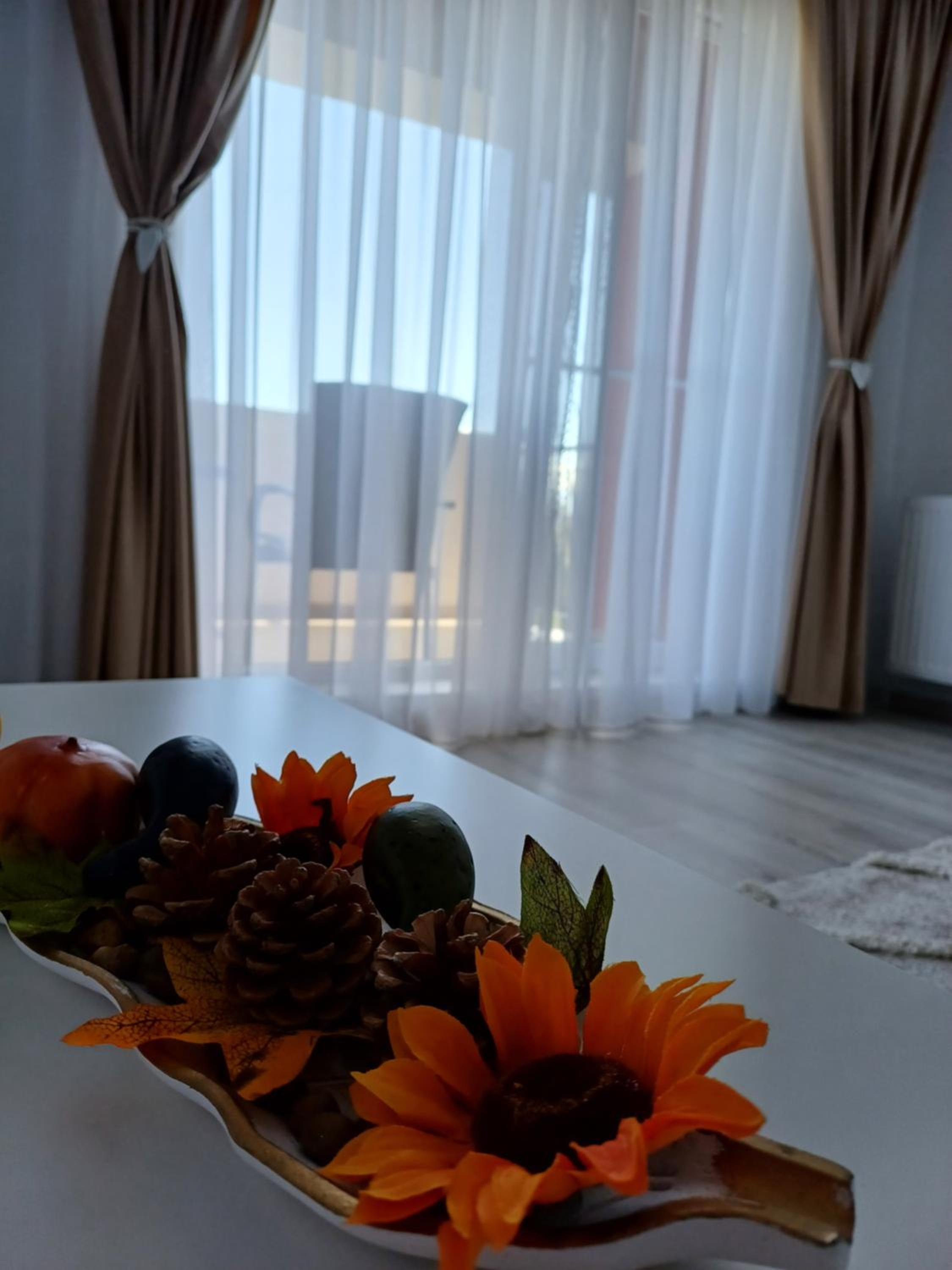 Apartament Ramonte view 4