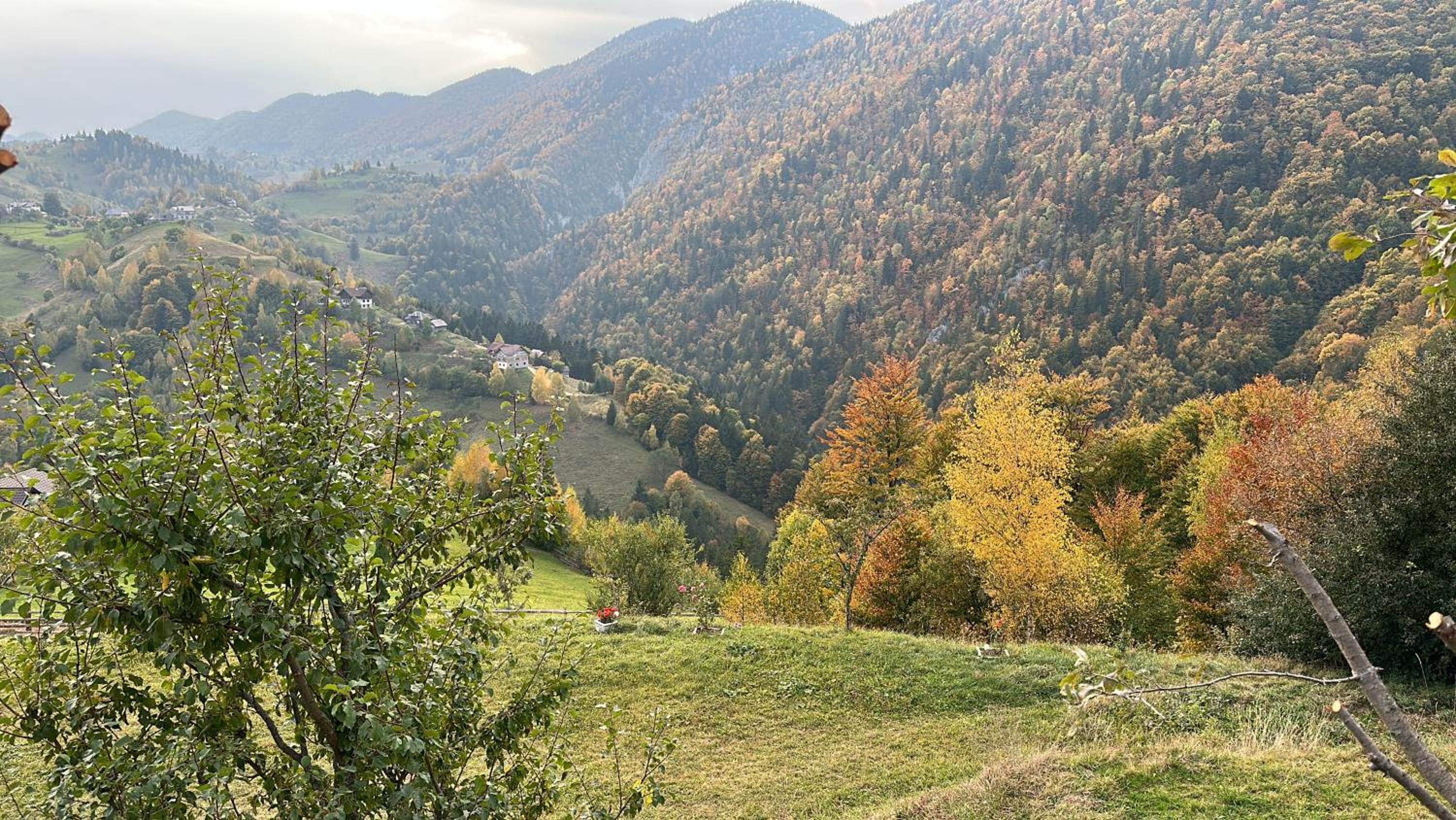 Pensiunea Magura