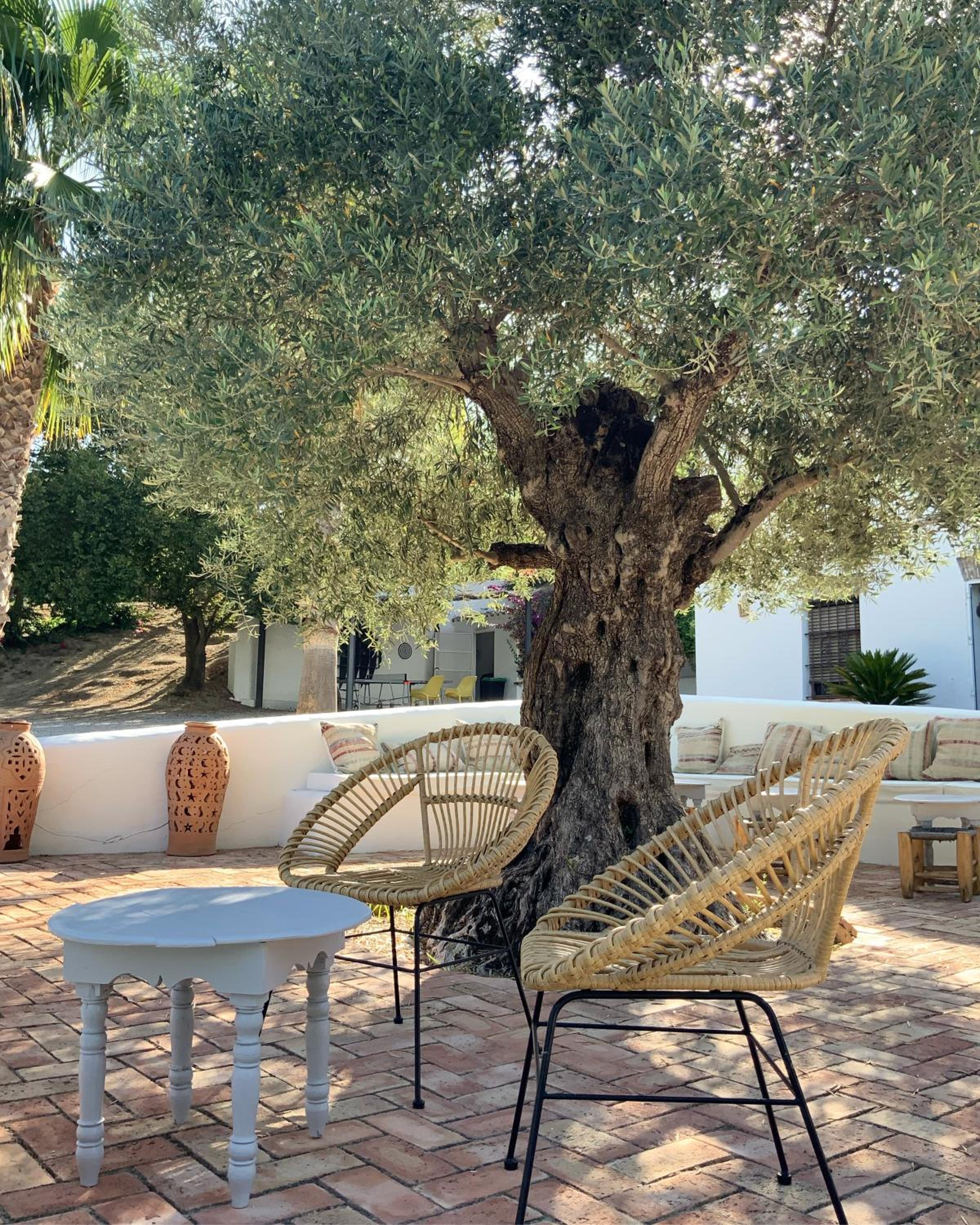 Cortijo Bablou - Maison de vacances photo 4