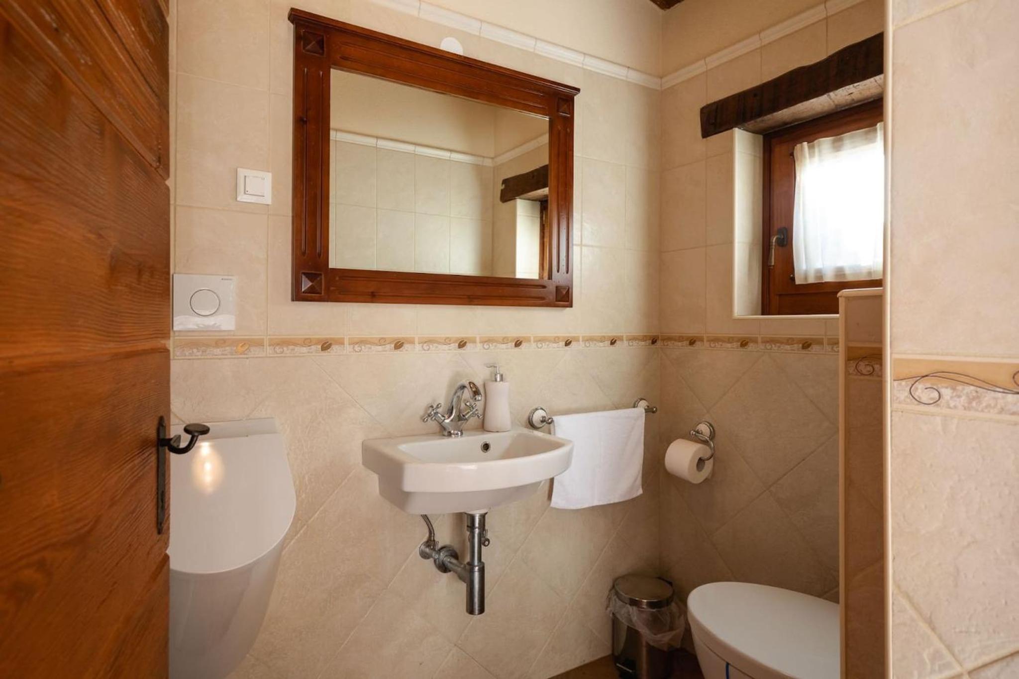 Rustic villa Banko with grill in Tinjan