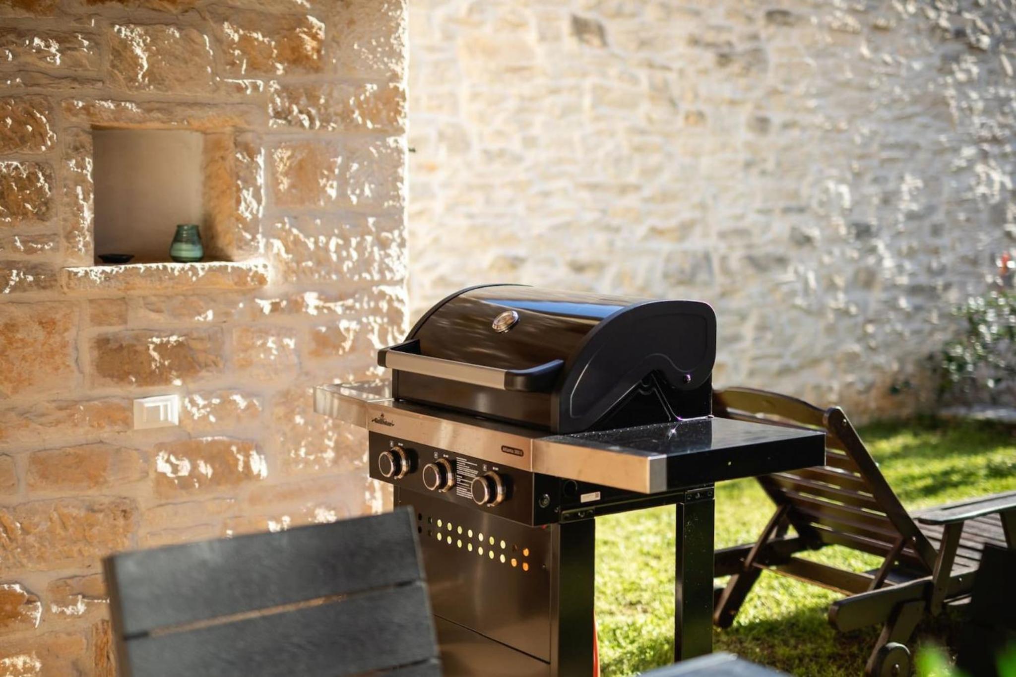 Rustic villa Banko with grill in Tinjan
