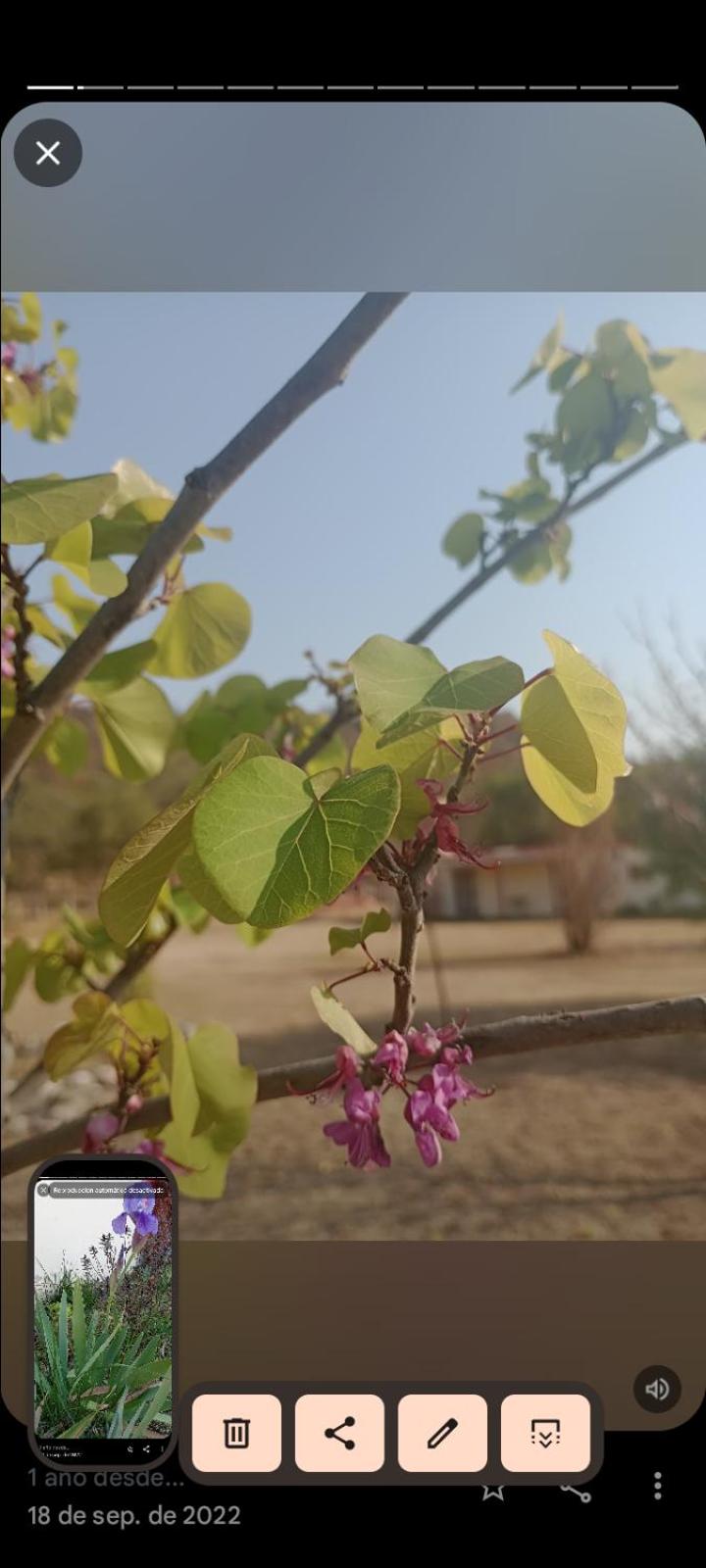 Posada Alto del Carmen