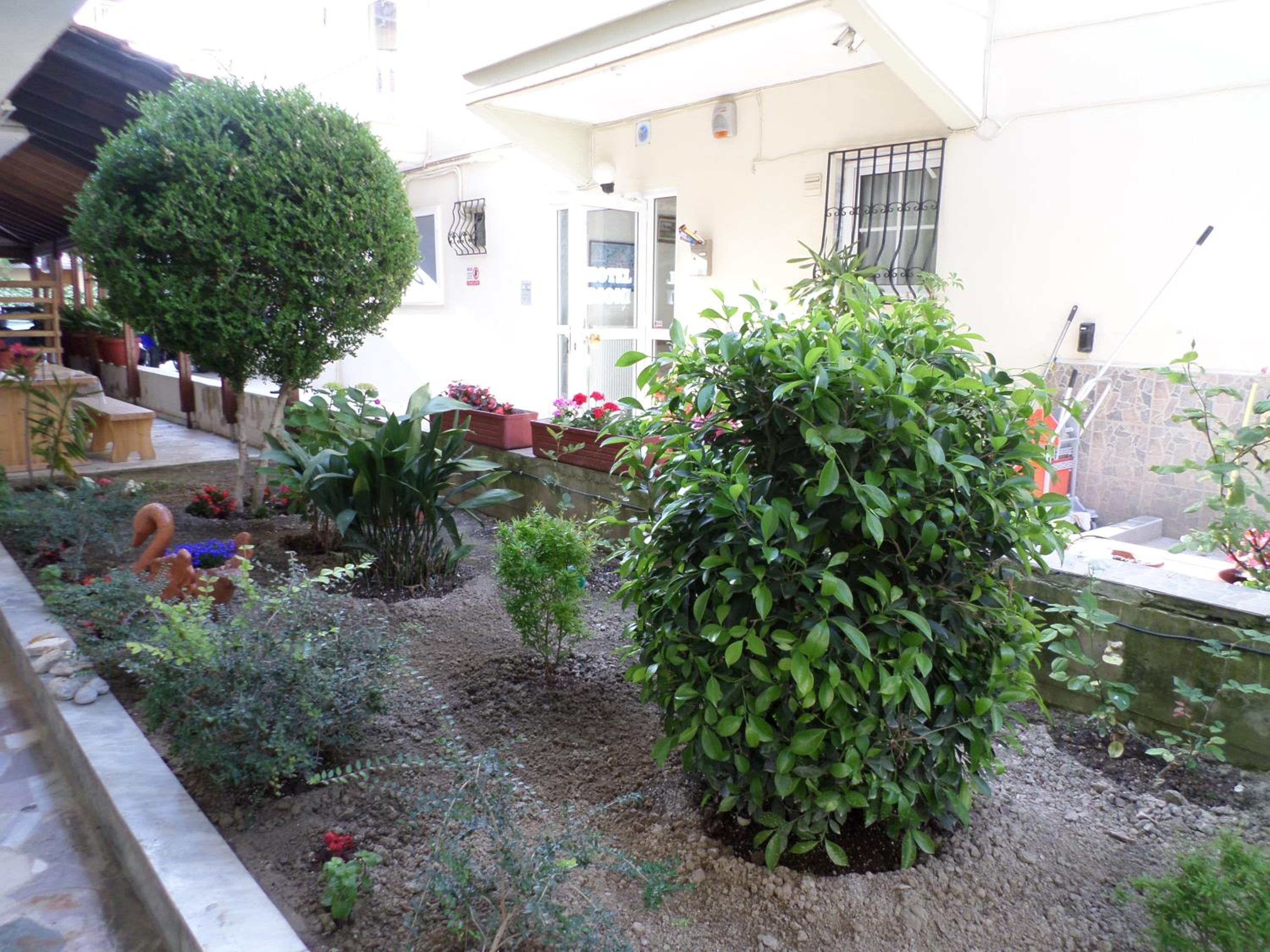 garden