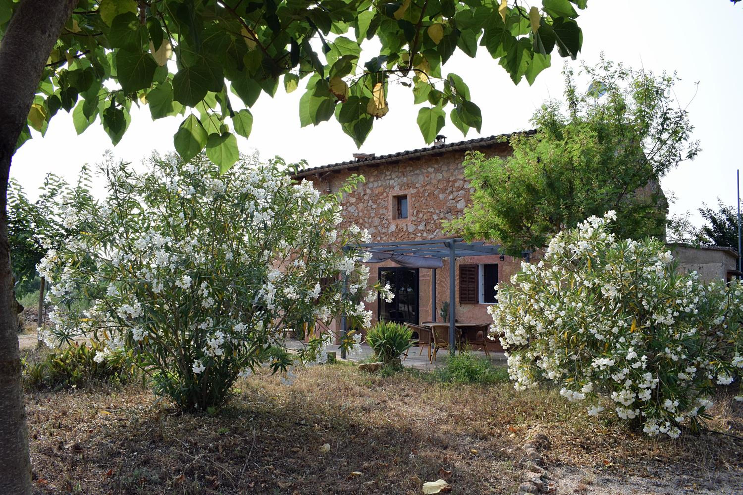 Sa Riba, Country house in Mallorca view 2