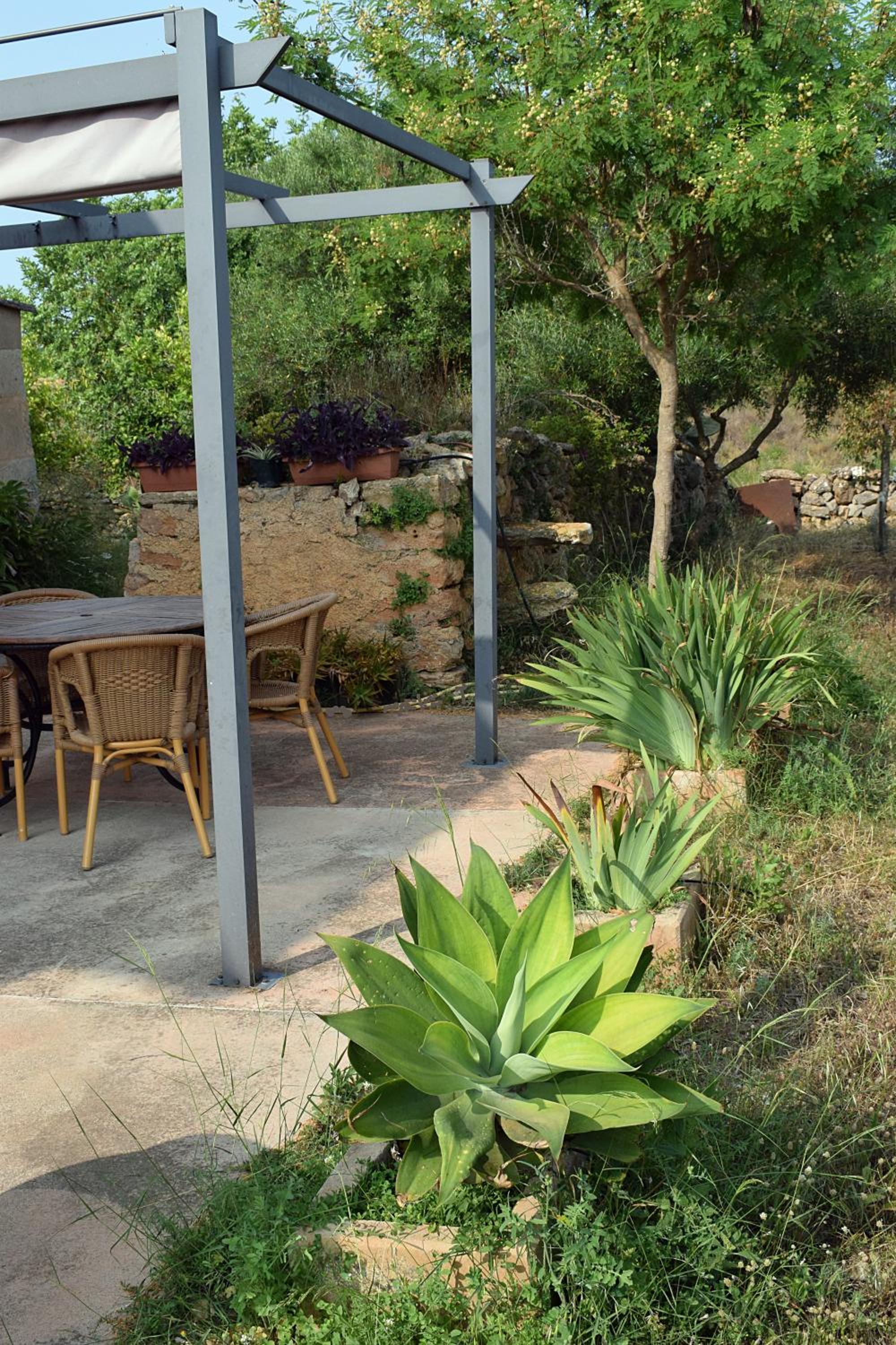 Sa Riba, Country house in Mallorca view 4