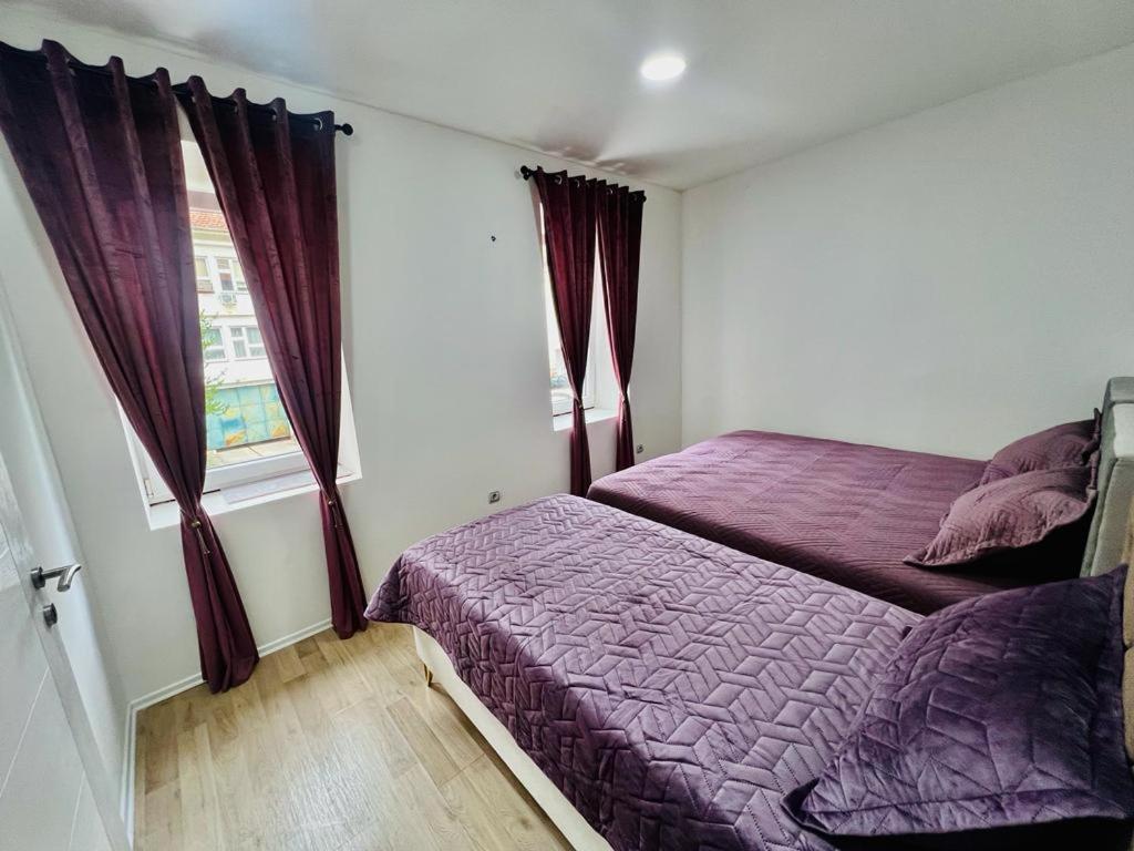 Apartmani Edo