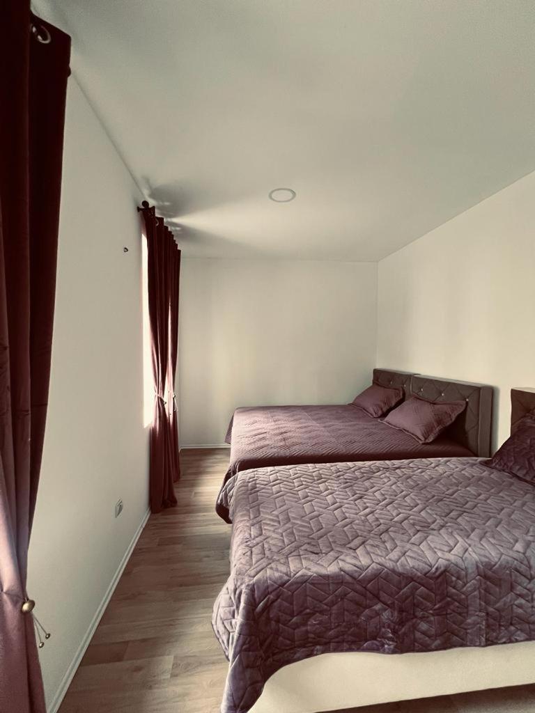 Apartmani Edo