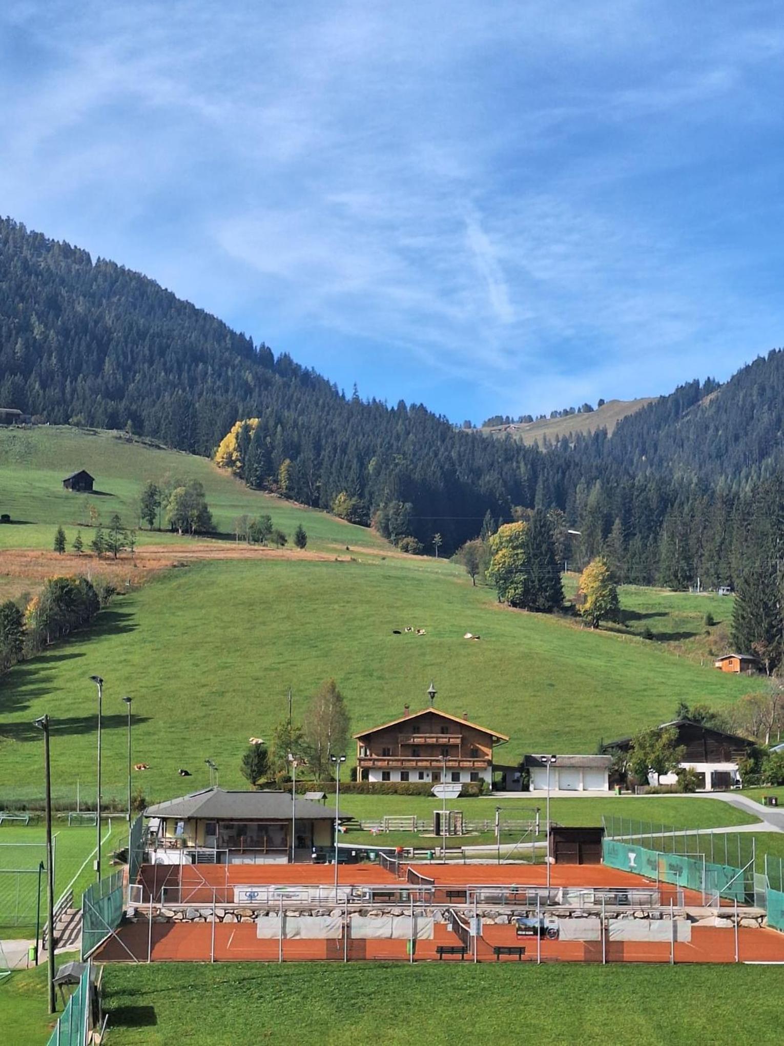 Bergliebe