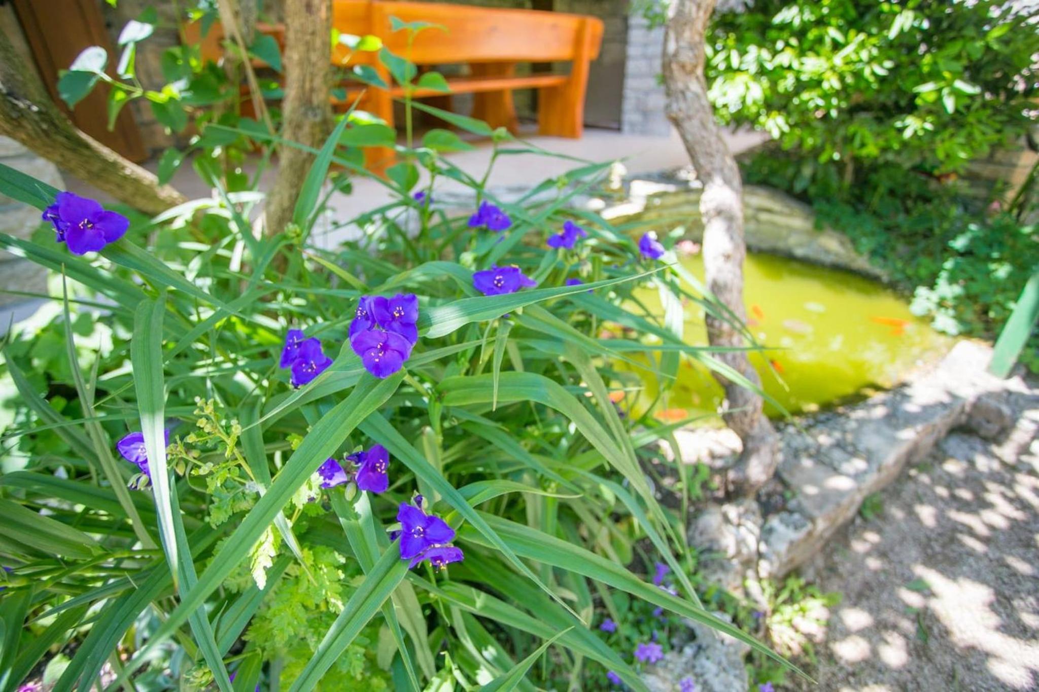 Photo 29
