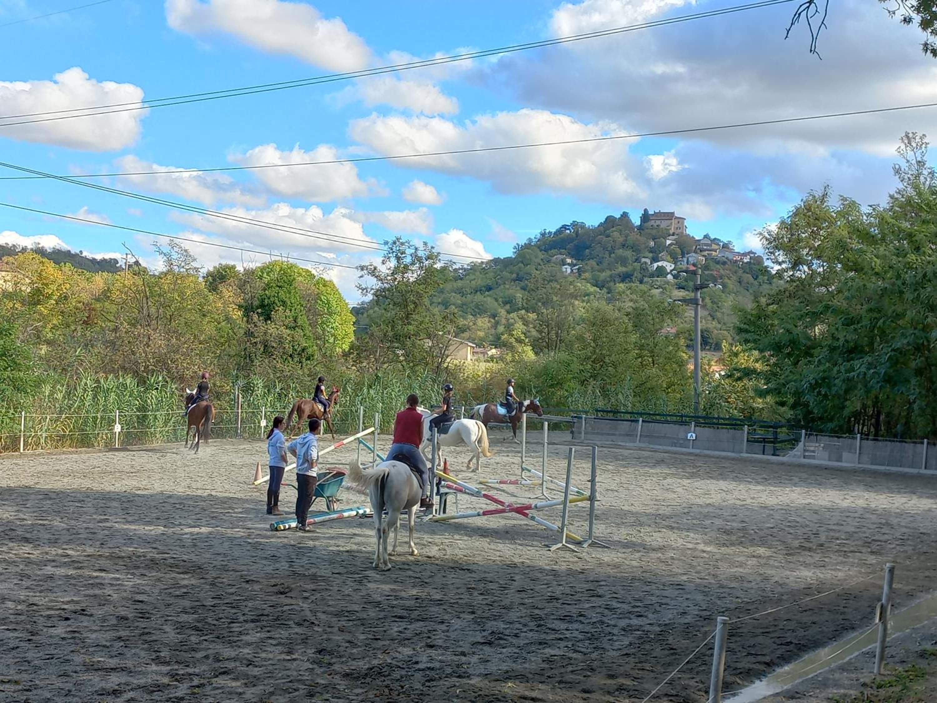 Photo 41