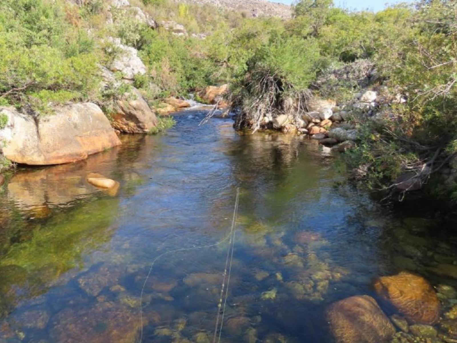 The Trout Pod