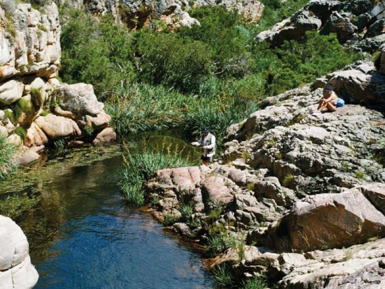 The Trout Pod