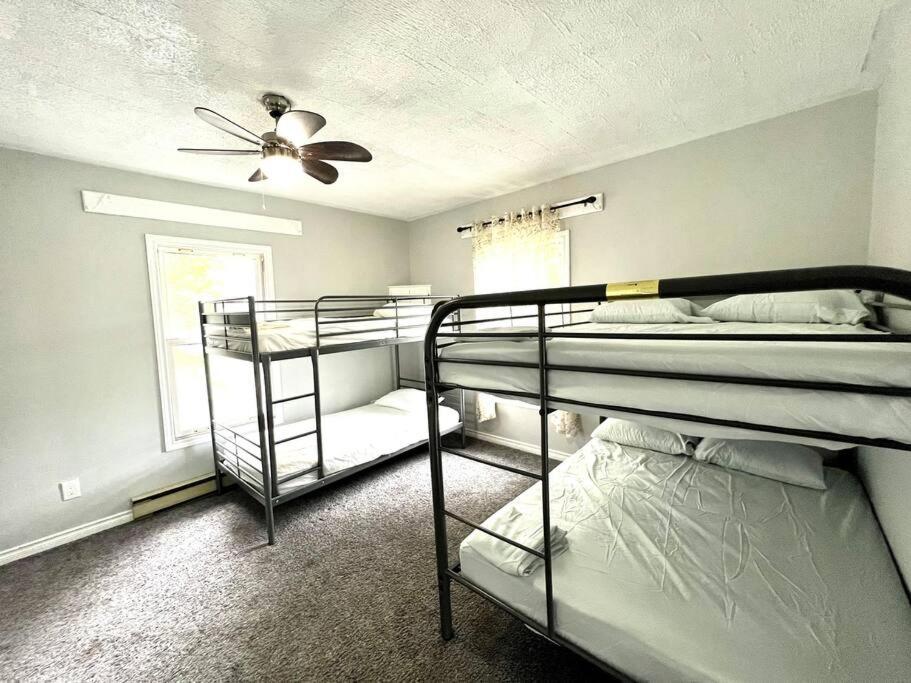 3 bedroom house in Downtown Trenton with 3 car and 1 trailer parking