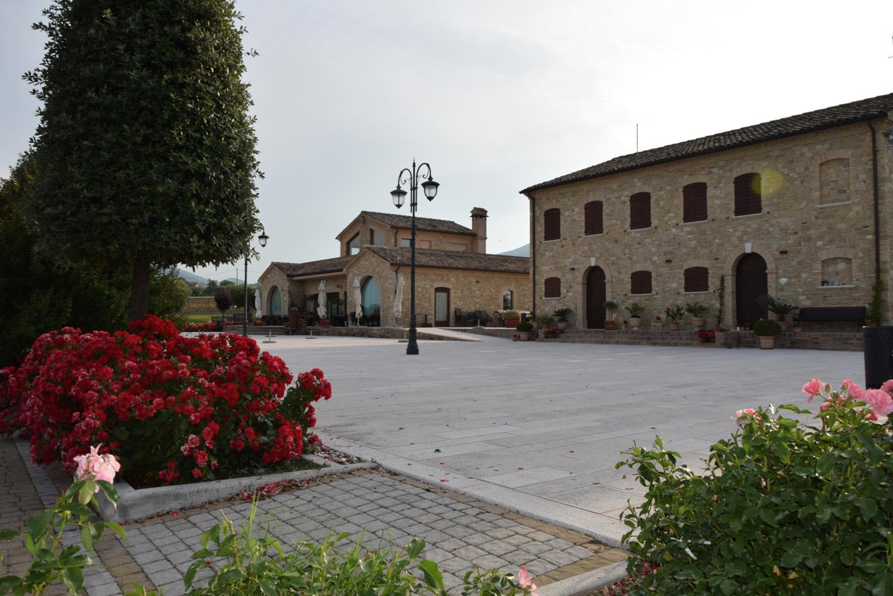 Photo 40