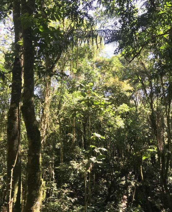 Sitio Lipa - Villa da Mata