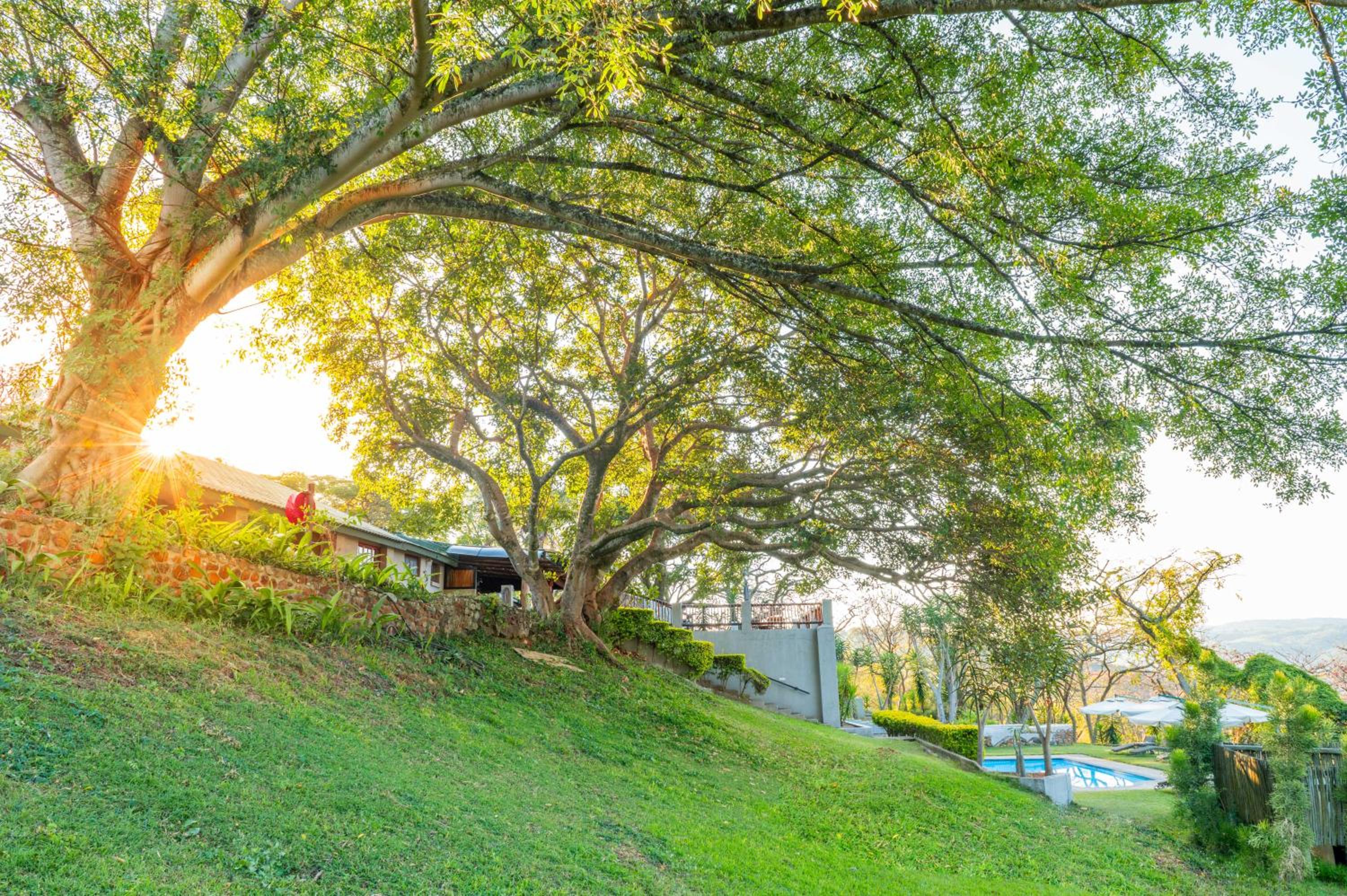 Hazyview Vacations - Chestnut Country Lodge - Property Image 4