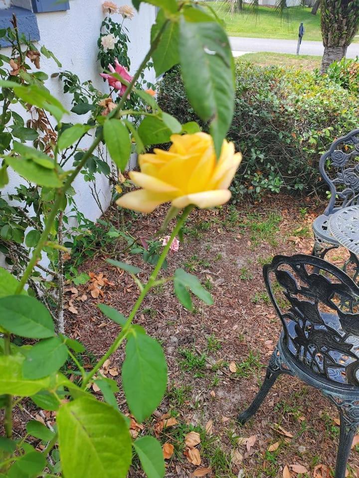 Photo 45
