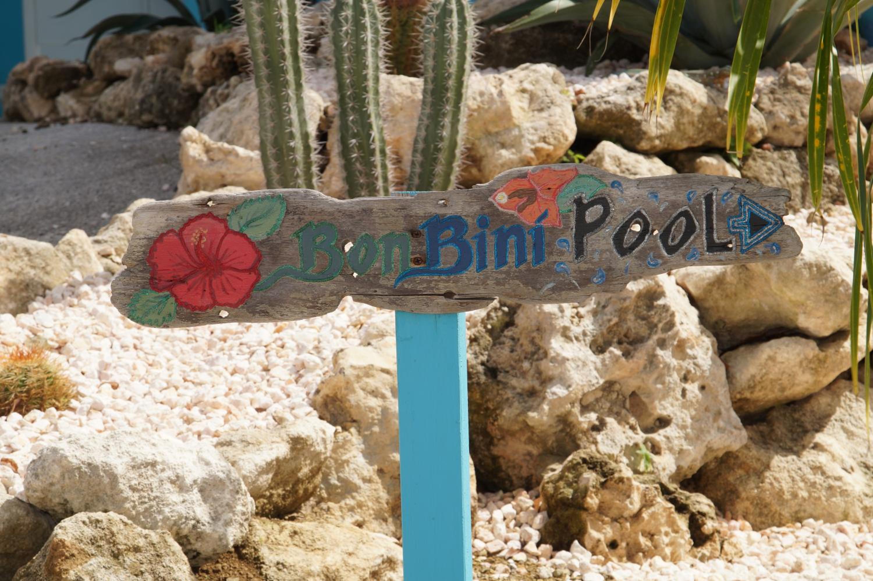 Bon Bini Resort Curacao