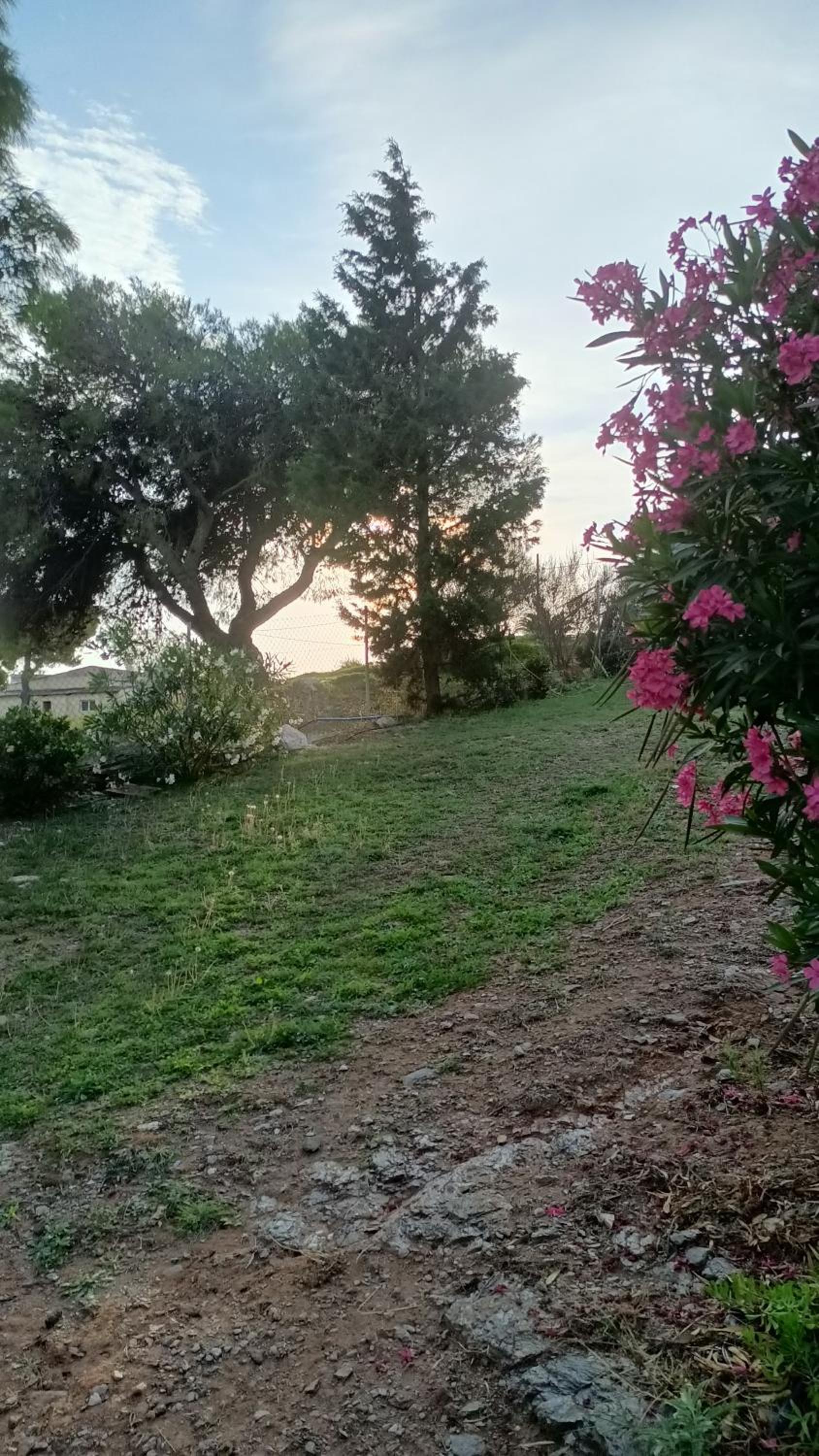 Photo 36
