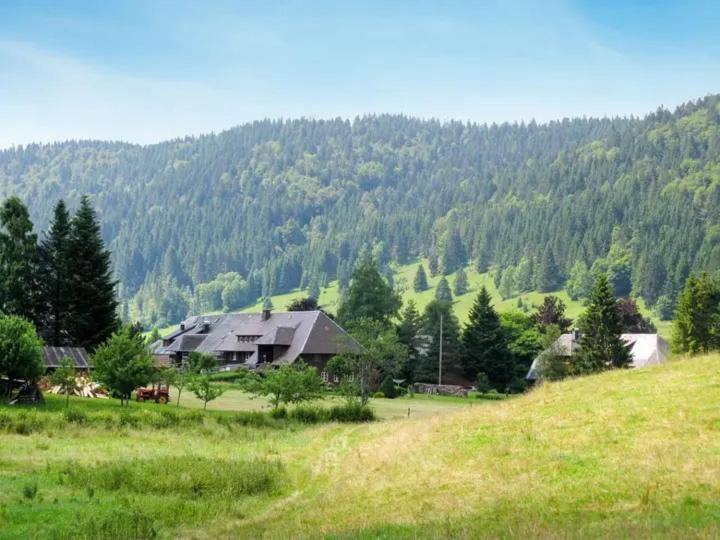 Apartment Schwinbachblick mit 2 Balkonen