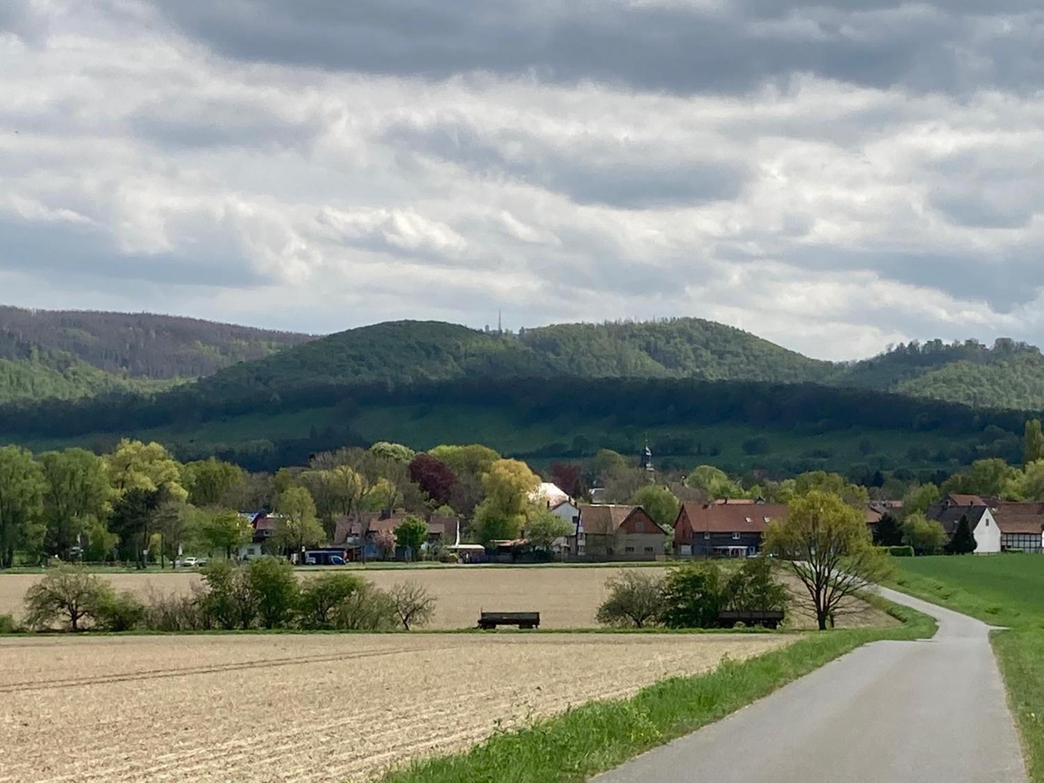 Ferienwohnungen bei der Purpurbuche